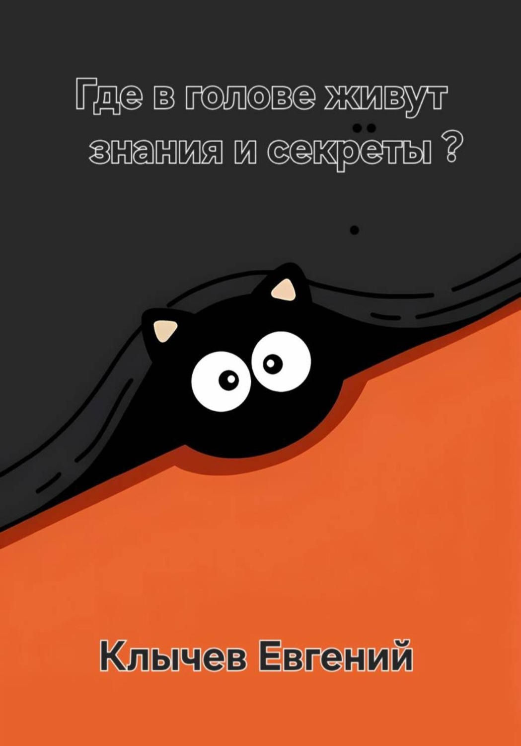 Обложка книги «Где в голове живут знания и секреты?»