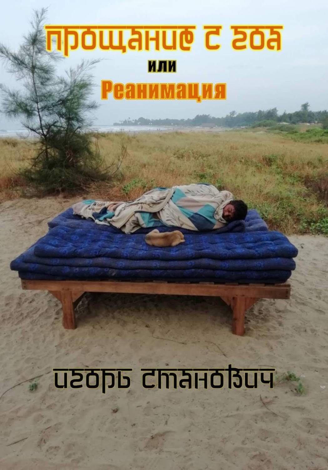 Обложка книги «Прощание с Гоа, или реанимация»