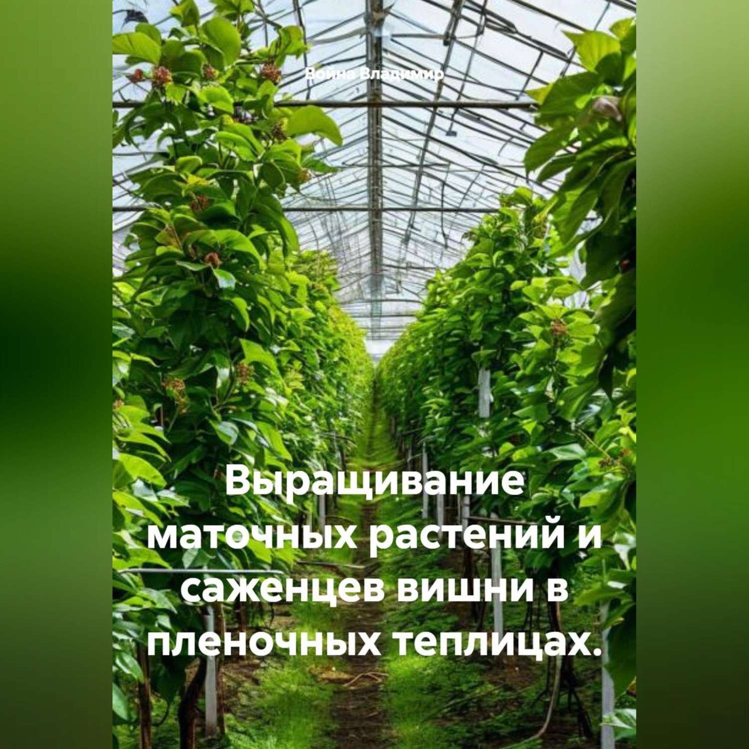 Обложка книги «Выращивание маточных растений и саженцев вишни в пленочных теплицах.»