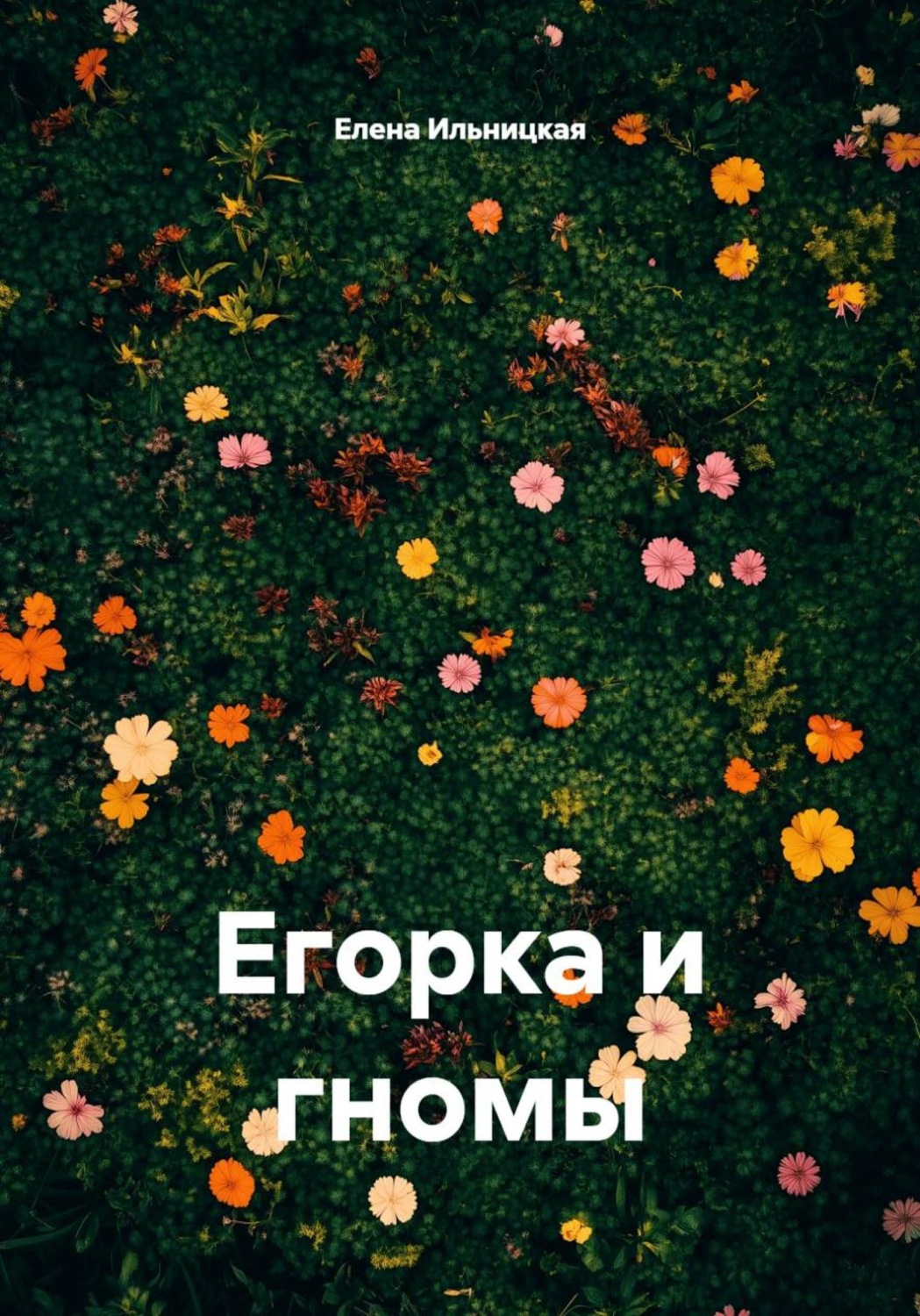 Обложка книги «Егорка и гномы»