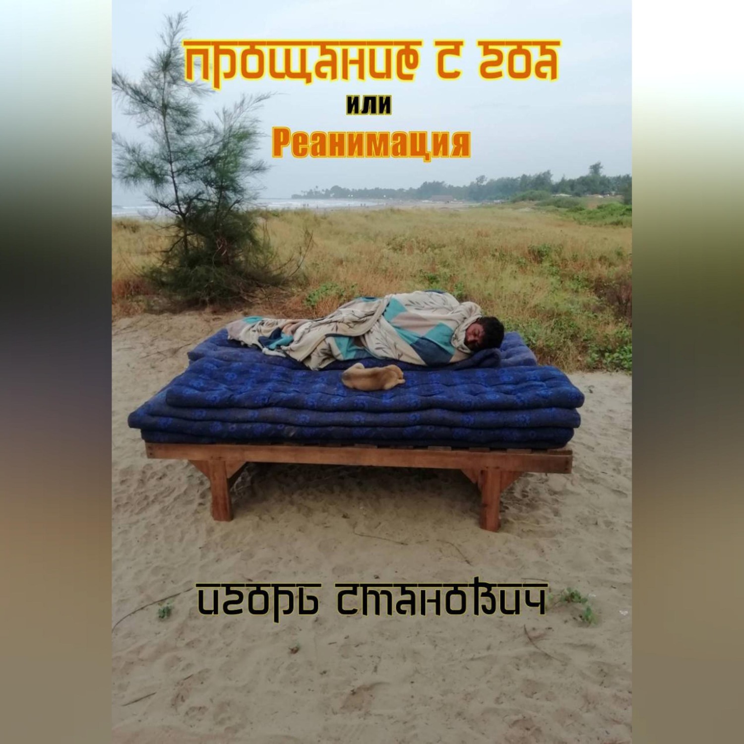 Обложка книги «Прощание с Гоа, или реанимация»