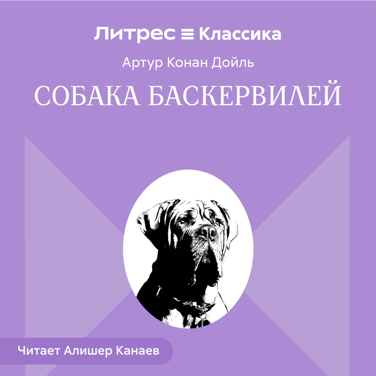 Обложка книги «Собака Баскервилей»
