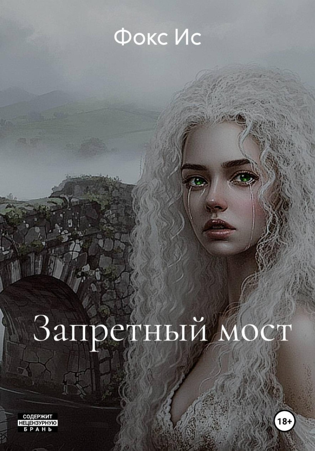 Обложка книги «Запретный мост»