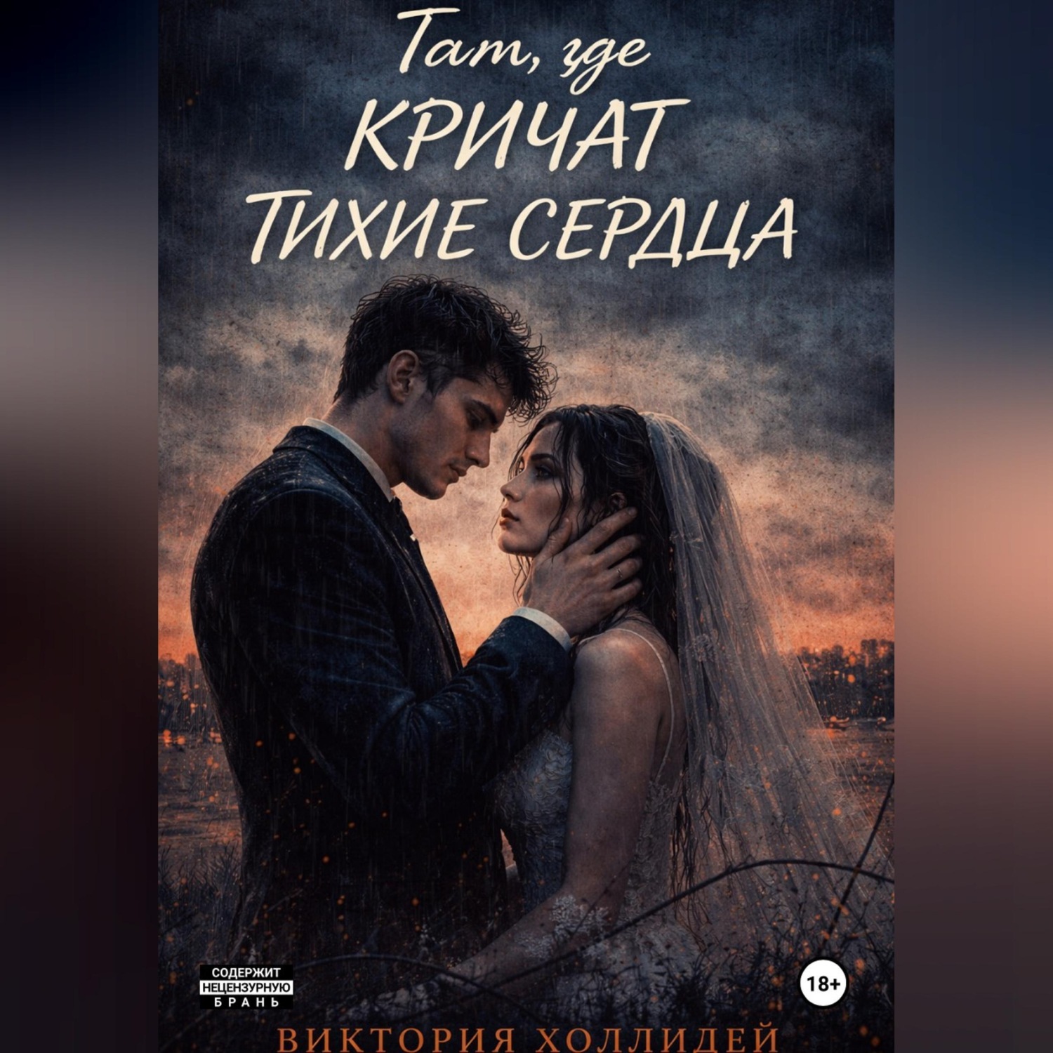 Обложка книги «Там, где кричат тихие сердца»