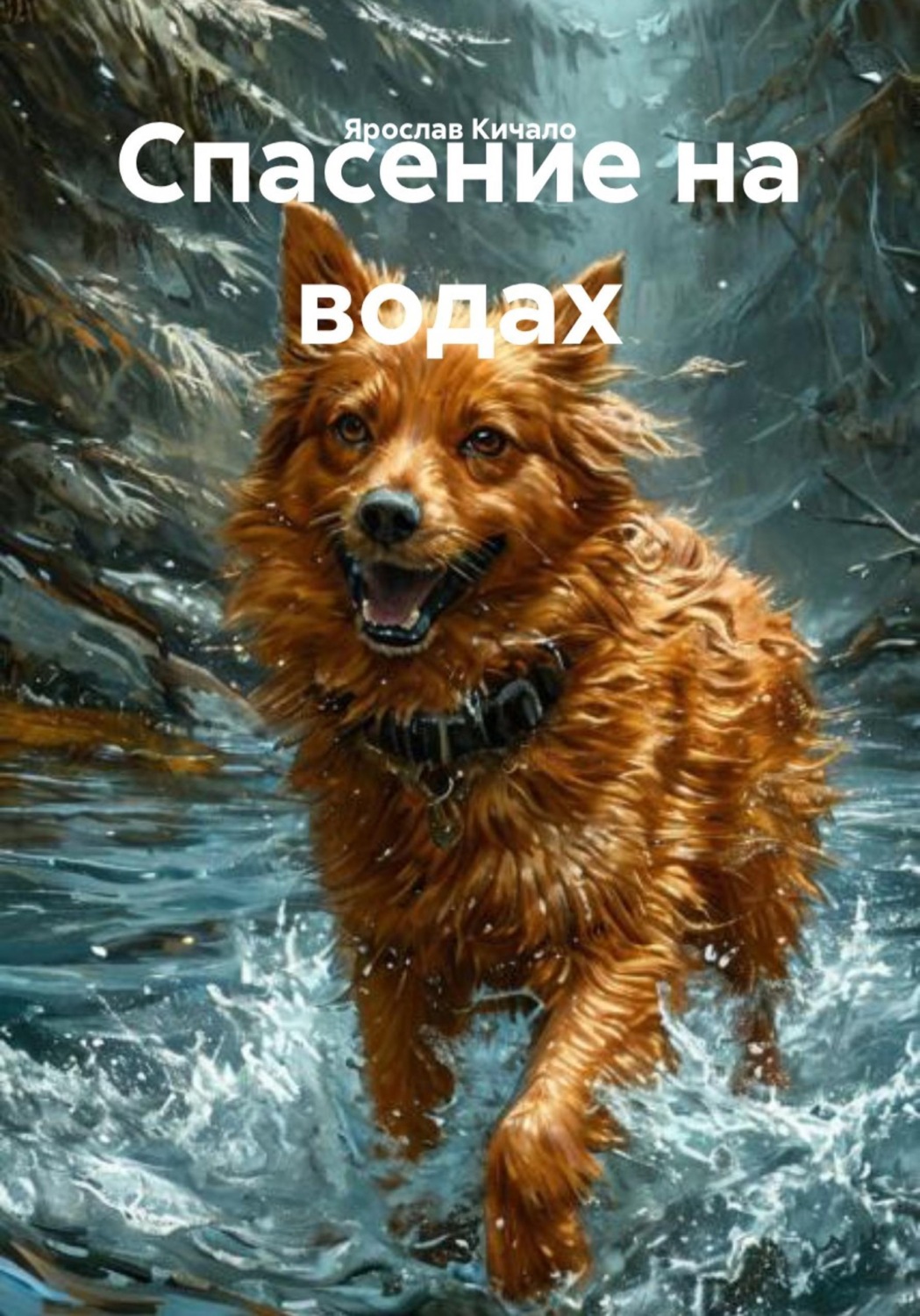 Обложка книги «Спасение на водах»
