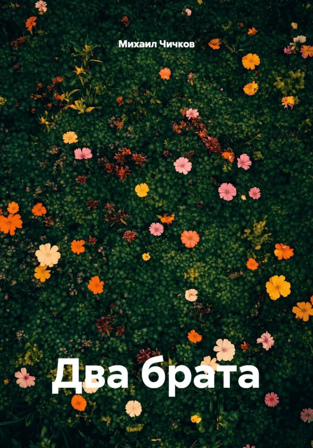 Обложка книги «Два брата»