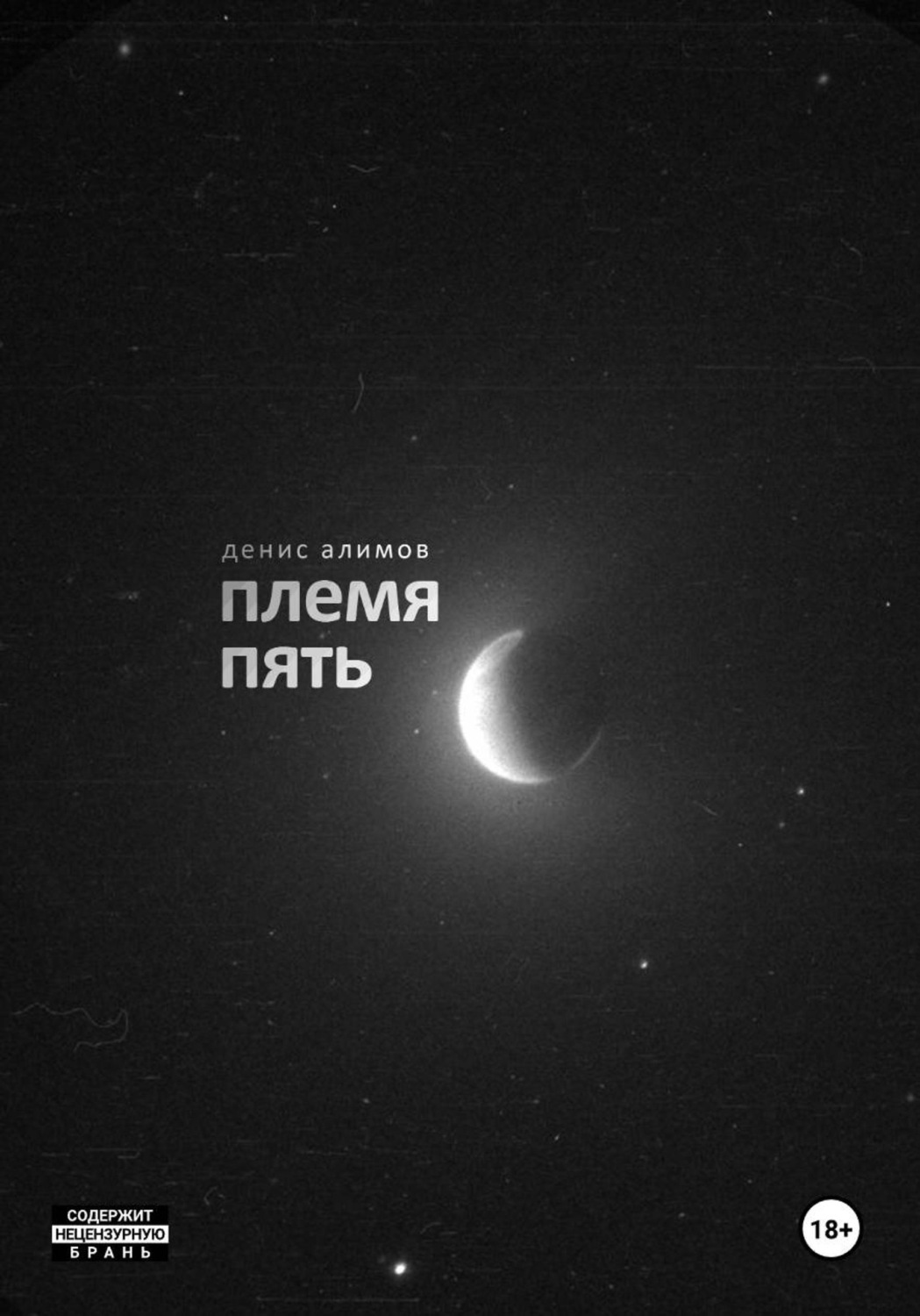 Обложка книги «Племя пять»