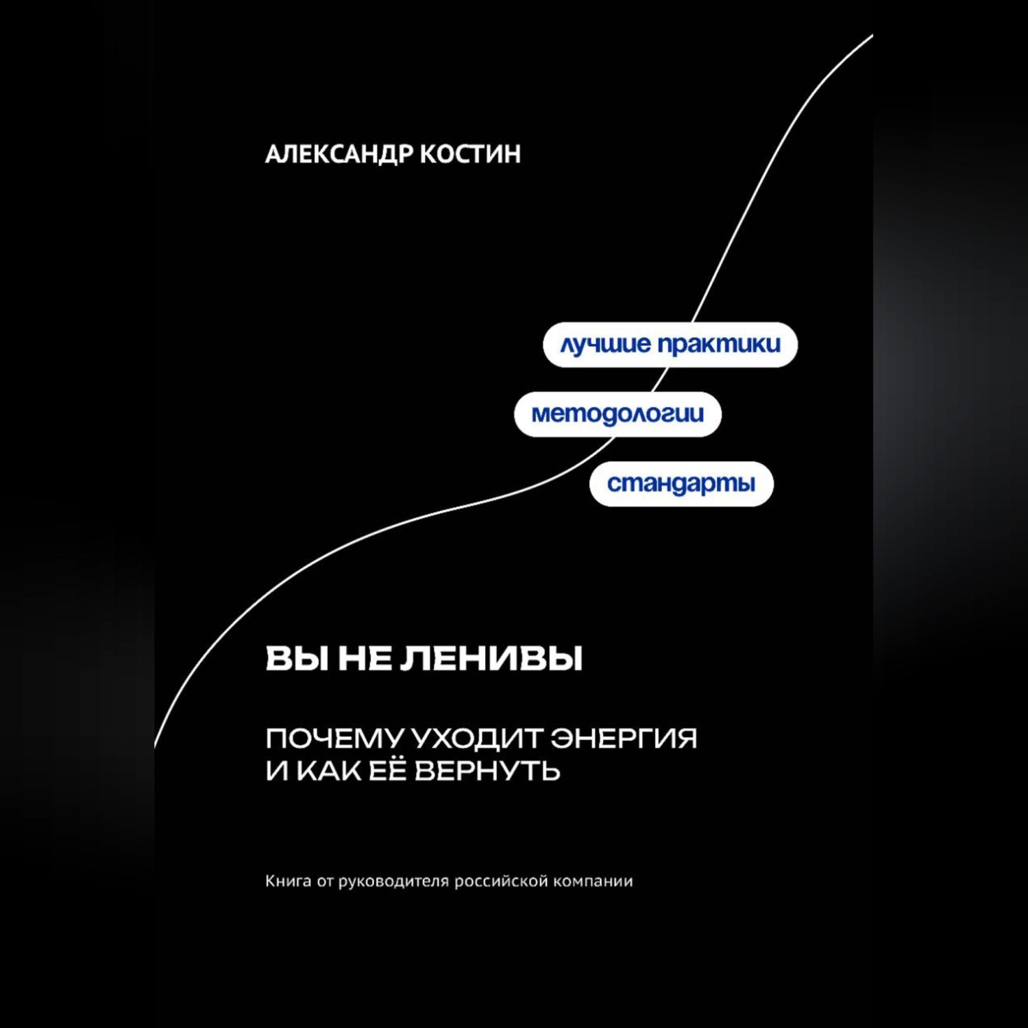 Обложка книги «Вы не ленивы: Почему уходит энергия и как её вернуть»