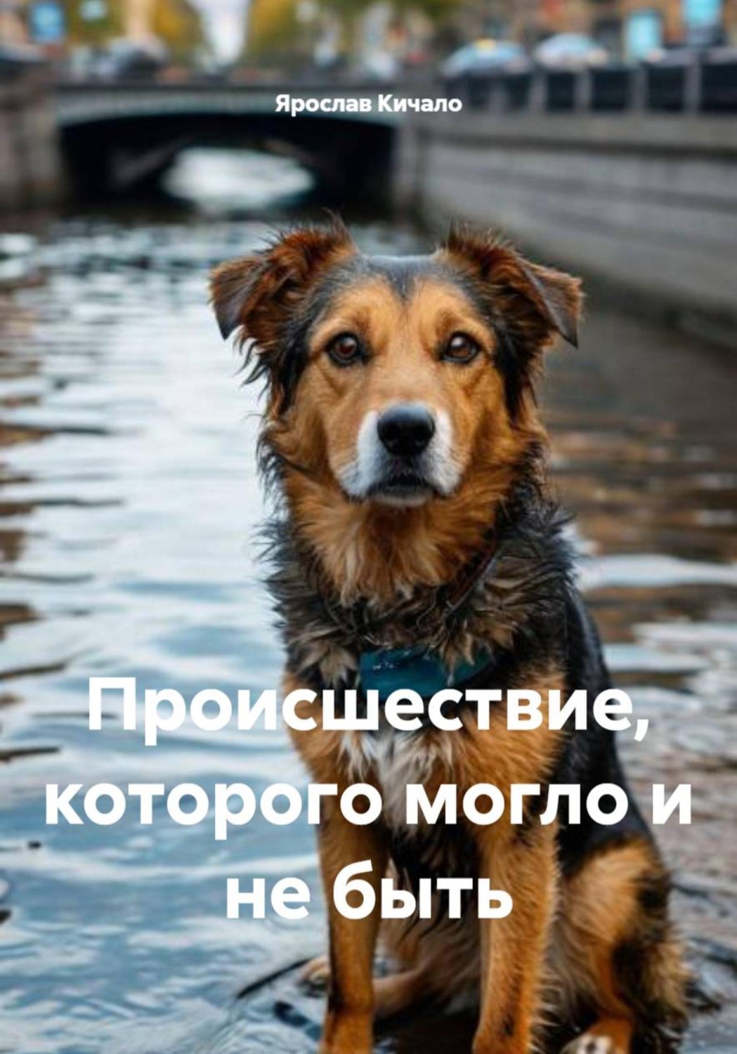 Обложка книги «Происшествие, которого могло и не быть»
