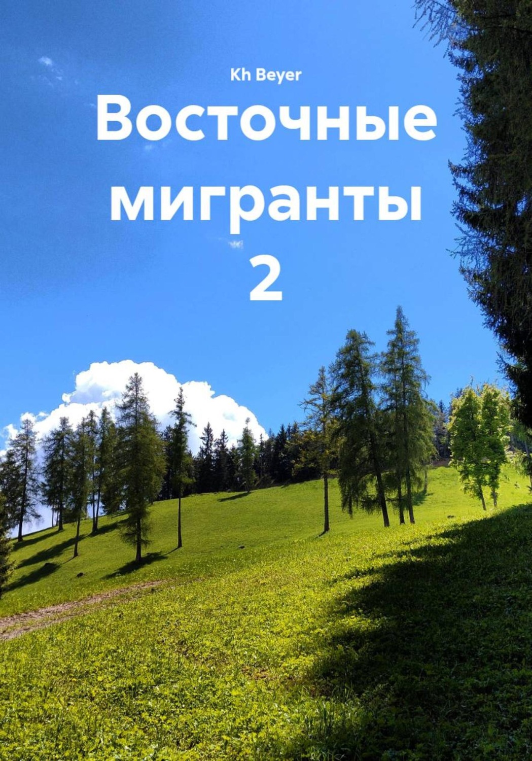 Обложка книги «Восточные мигранты 2»
