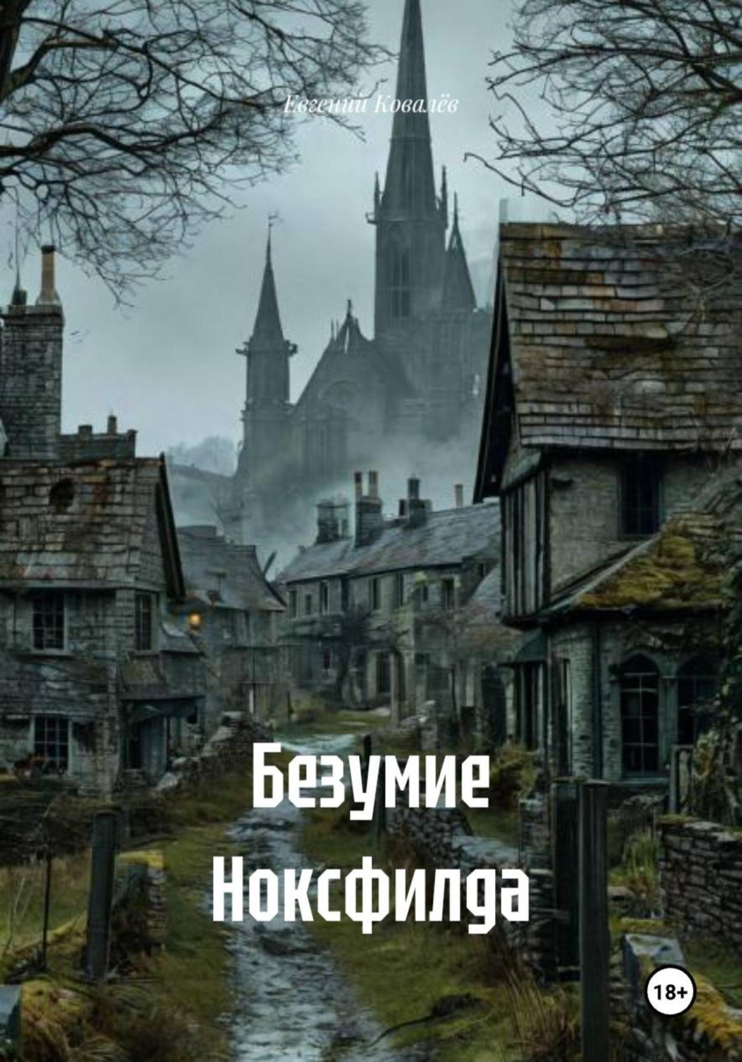 Обложка книги «Безумие Ноксфилда»