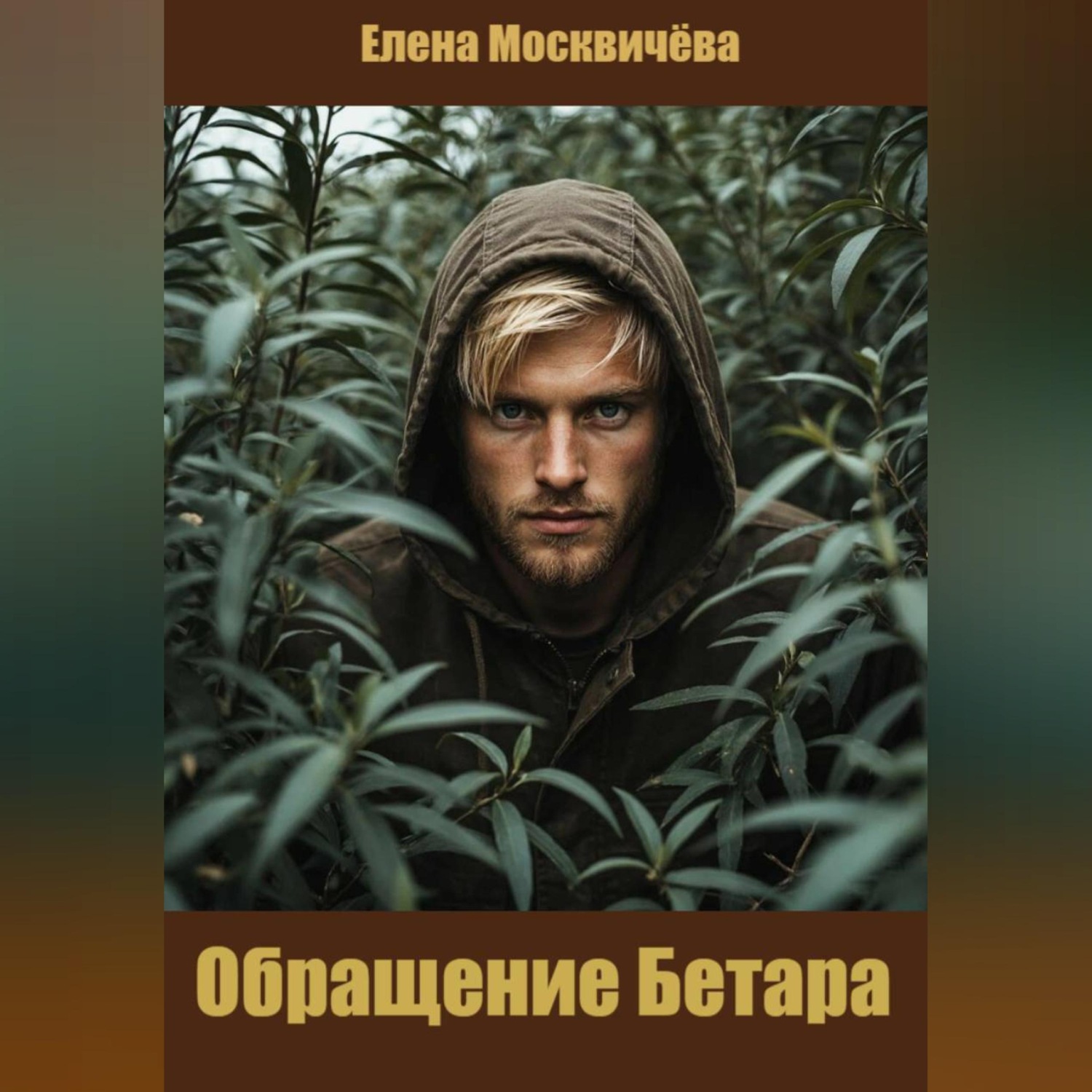 Обложка книги «Обращение Бетара»
