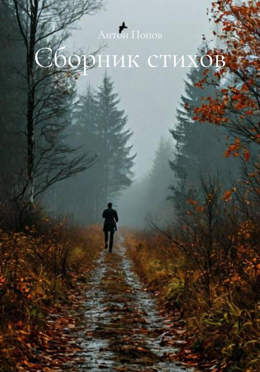 Обложка книги «Сборник стихов»