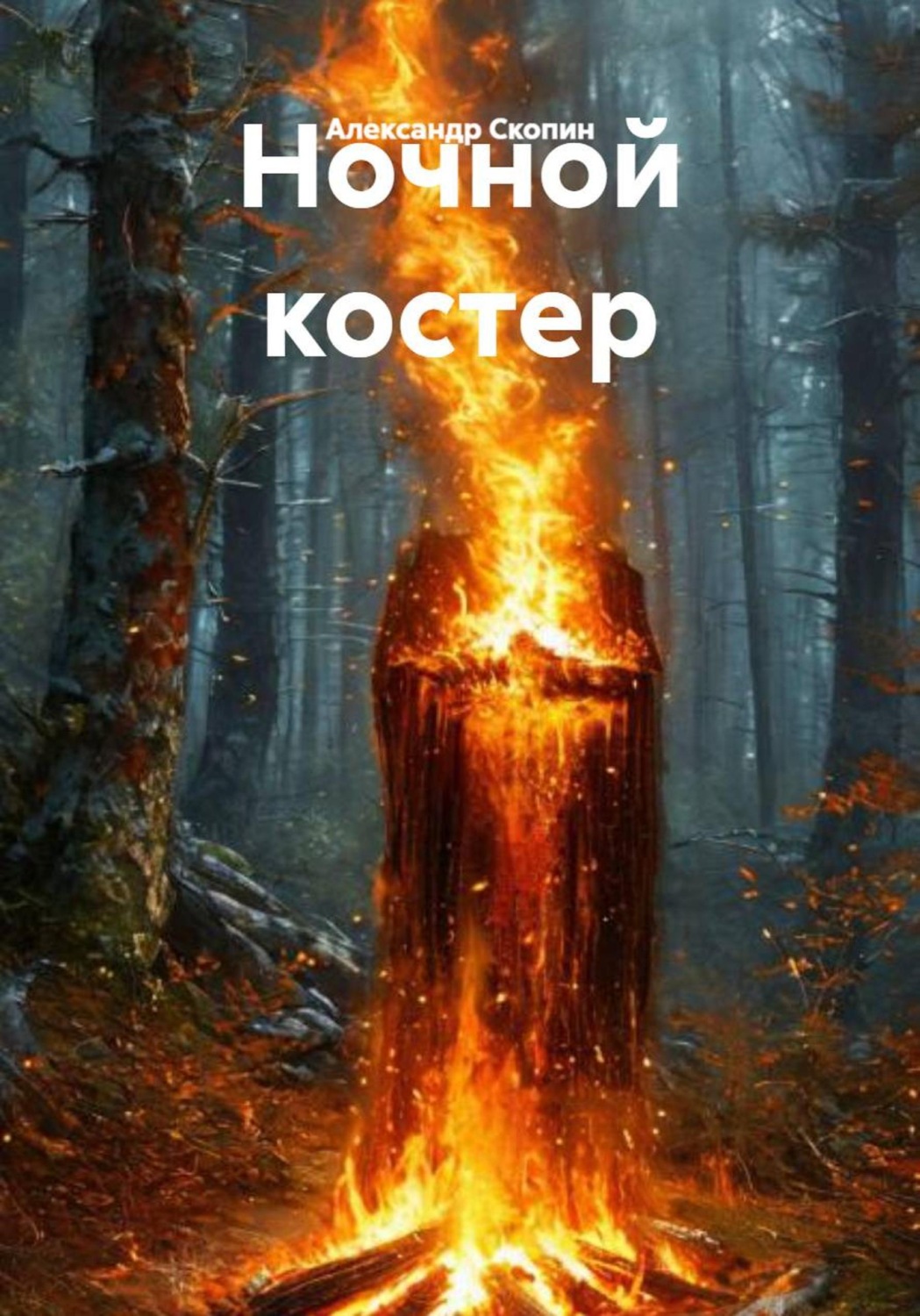 Обложка книги «Ночной костер»