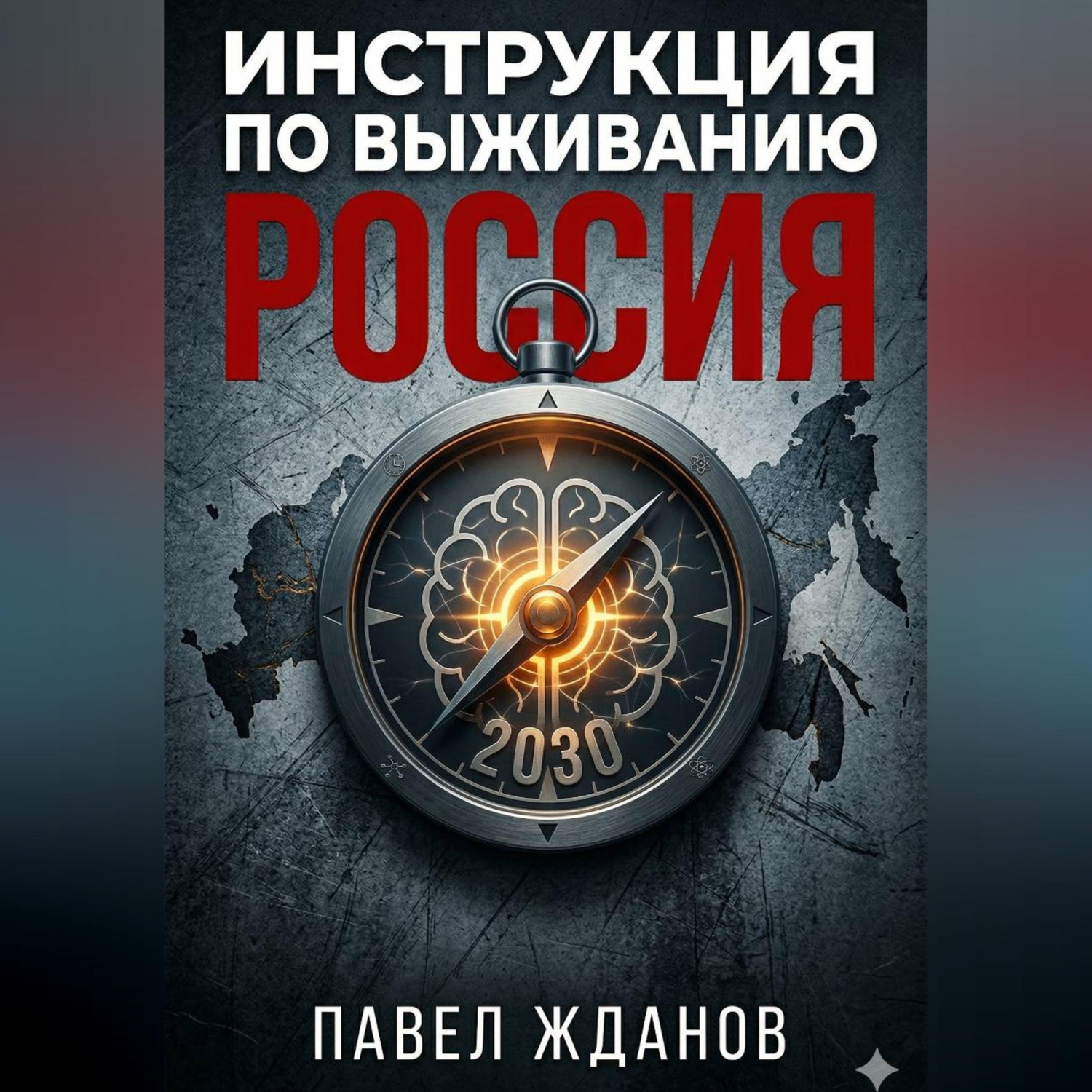 Обложка книги «Инструкция по выживанию. Россия 2030»