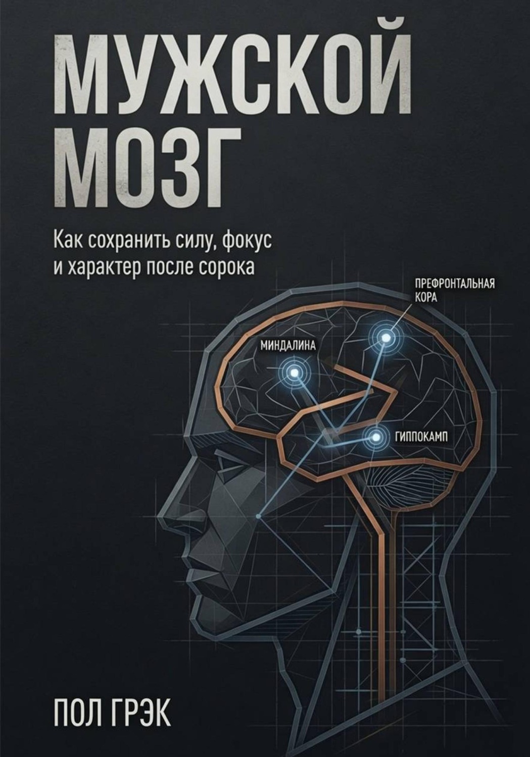 Обложка книги «Мужской мозг»