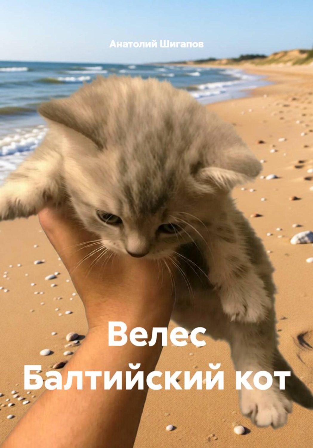Обложка книги «Велес Балтийский кот»