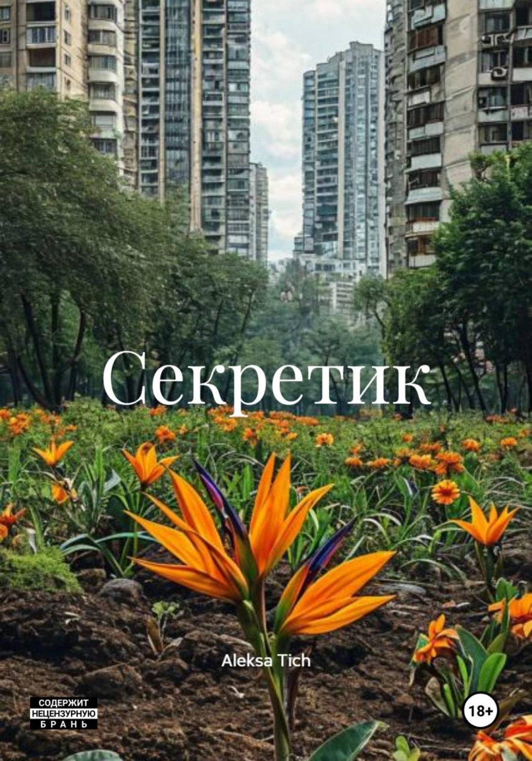 Обложка книги «Секретик»