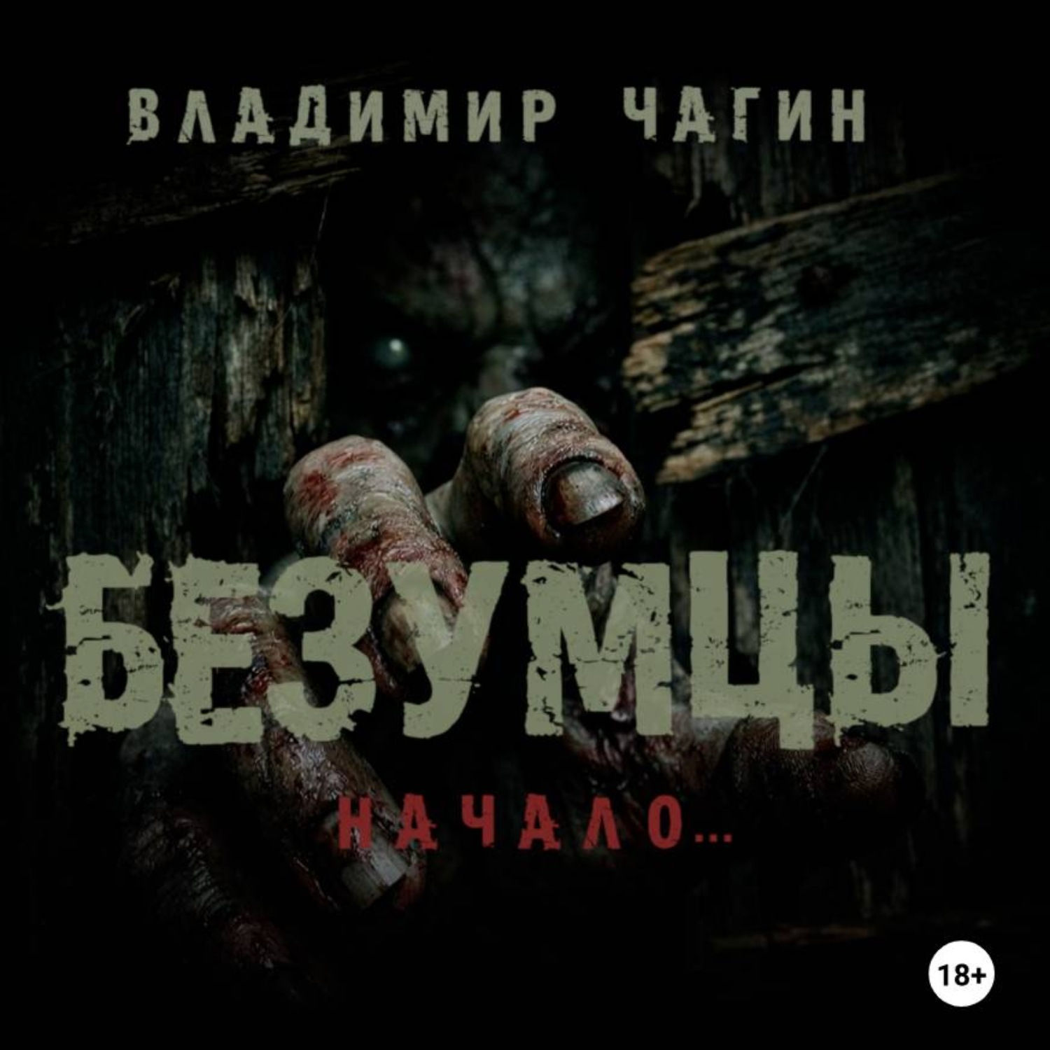 Обложка книги «Безумцы»