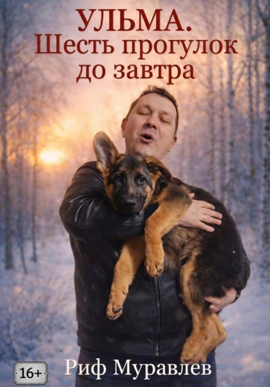 Обложка книги «Ульма. Шесть прогулок до завтра»
