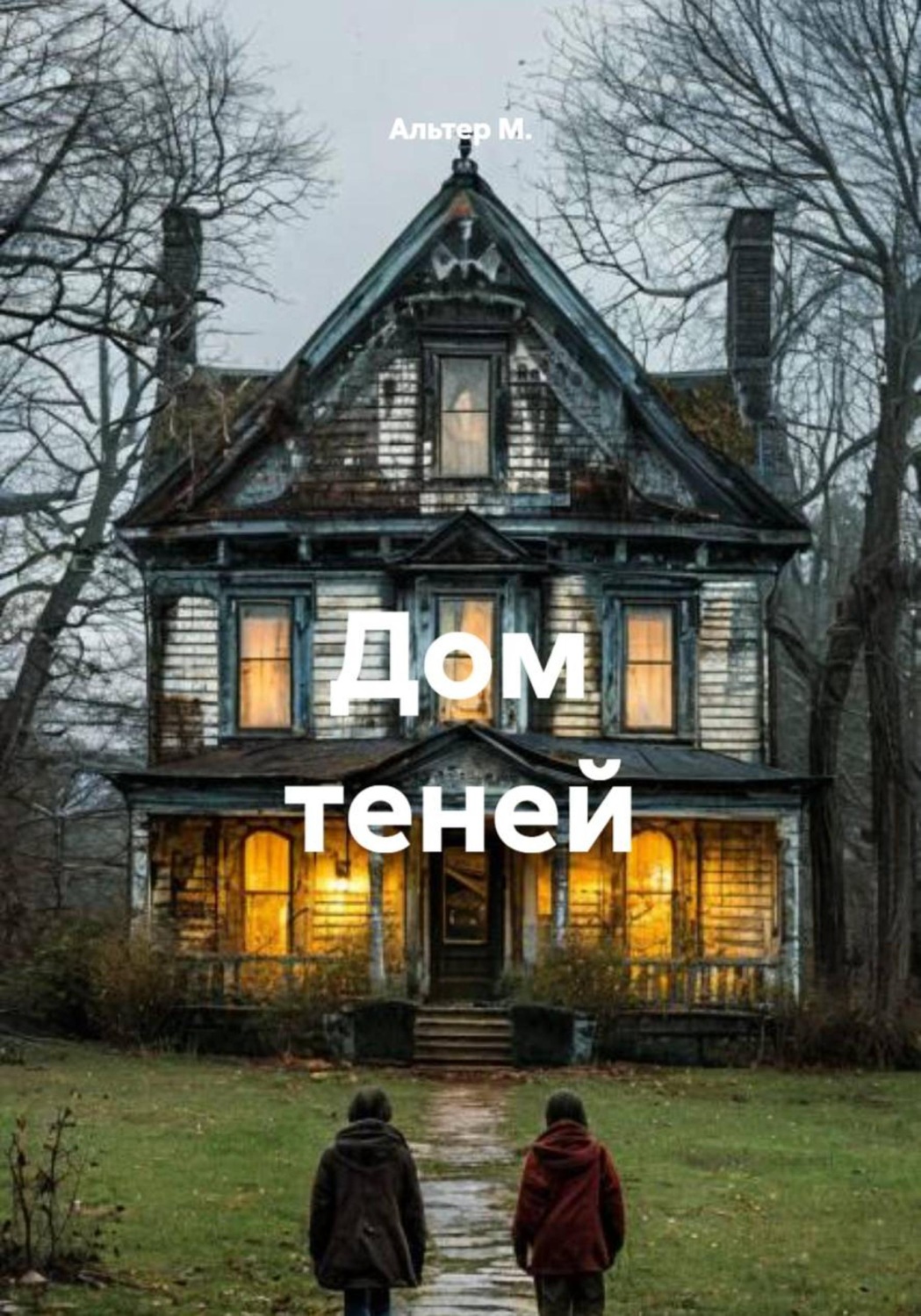 Обложка книги «Дом теней»