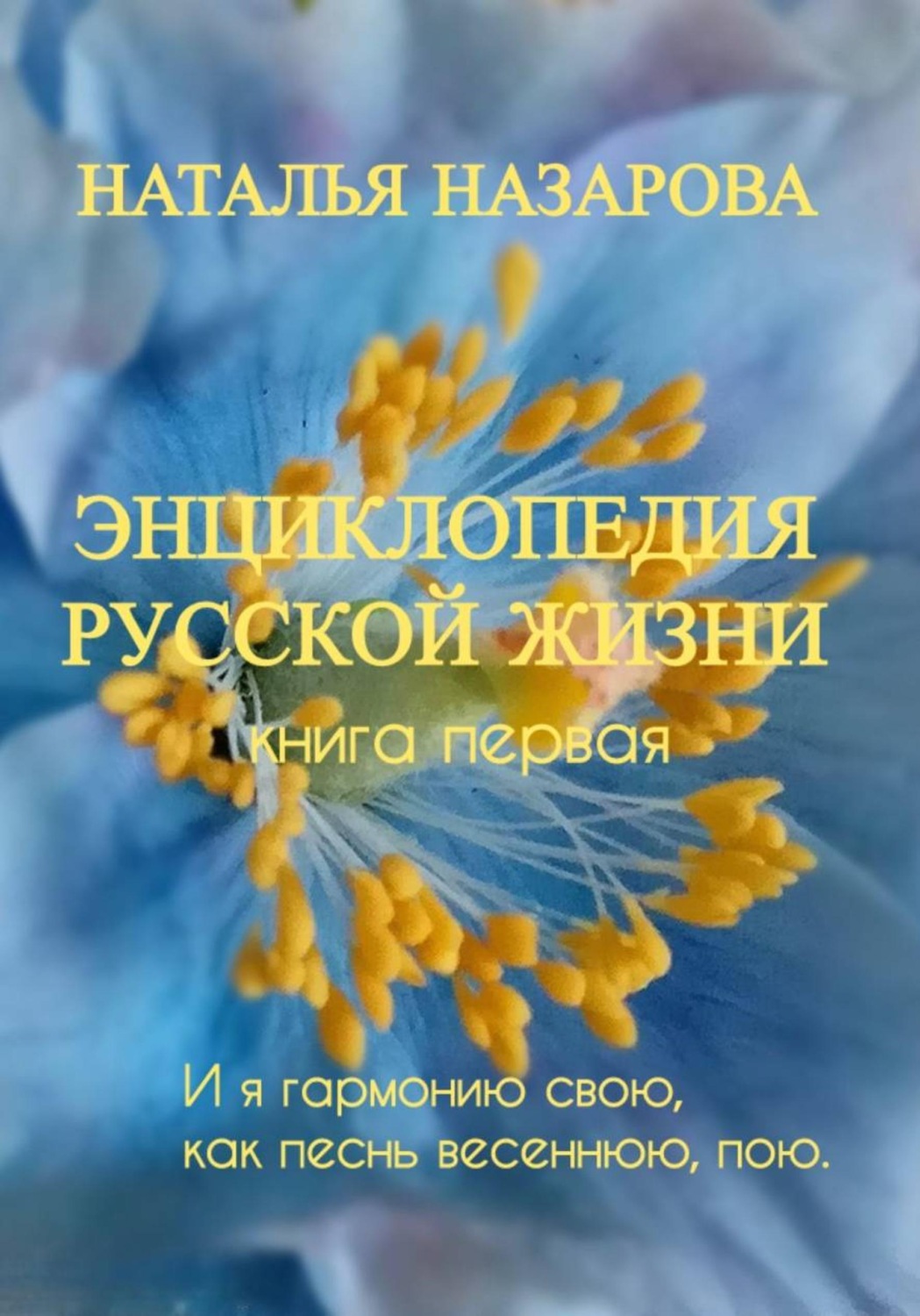 Обложка книги «Энциклопедия русской жизни»