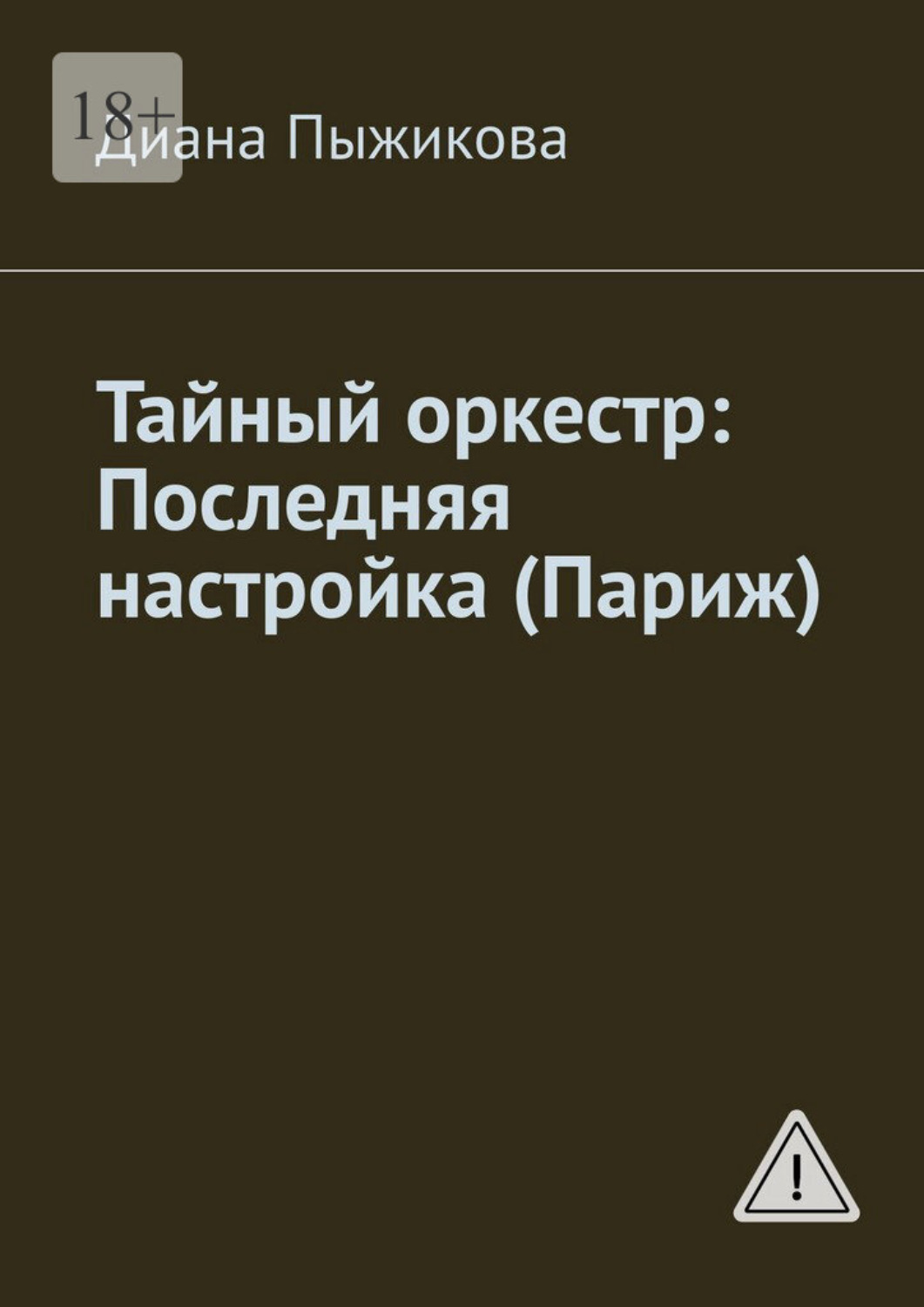 Обложка книги «Тайный оркестр: Последняя настройка (Париж)»