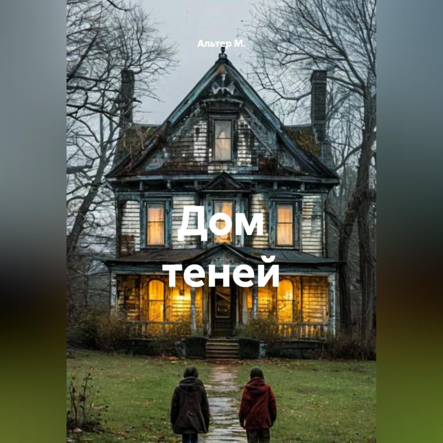 Обложка книги «Дом теней»