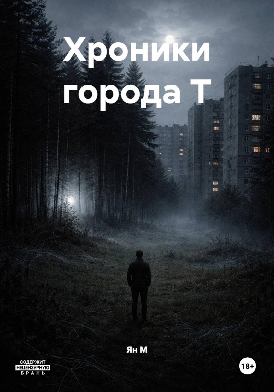 Обложка книги «Хроники города Т»