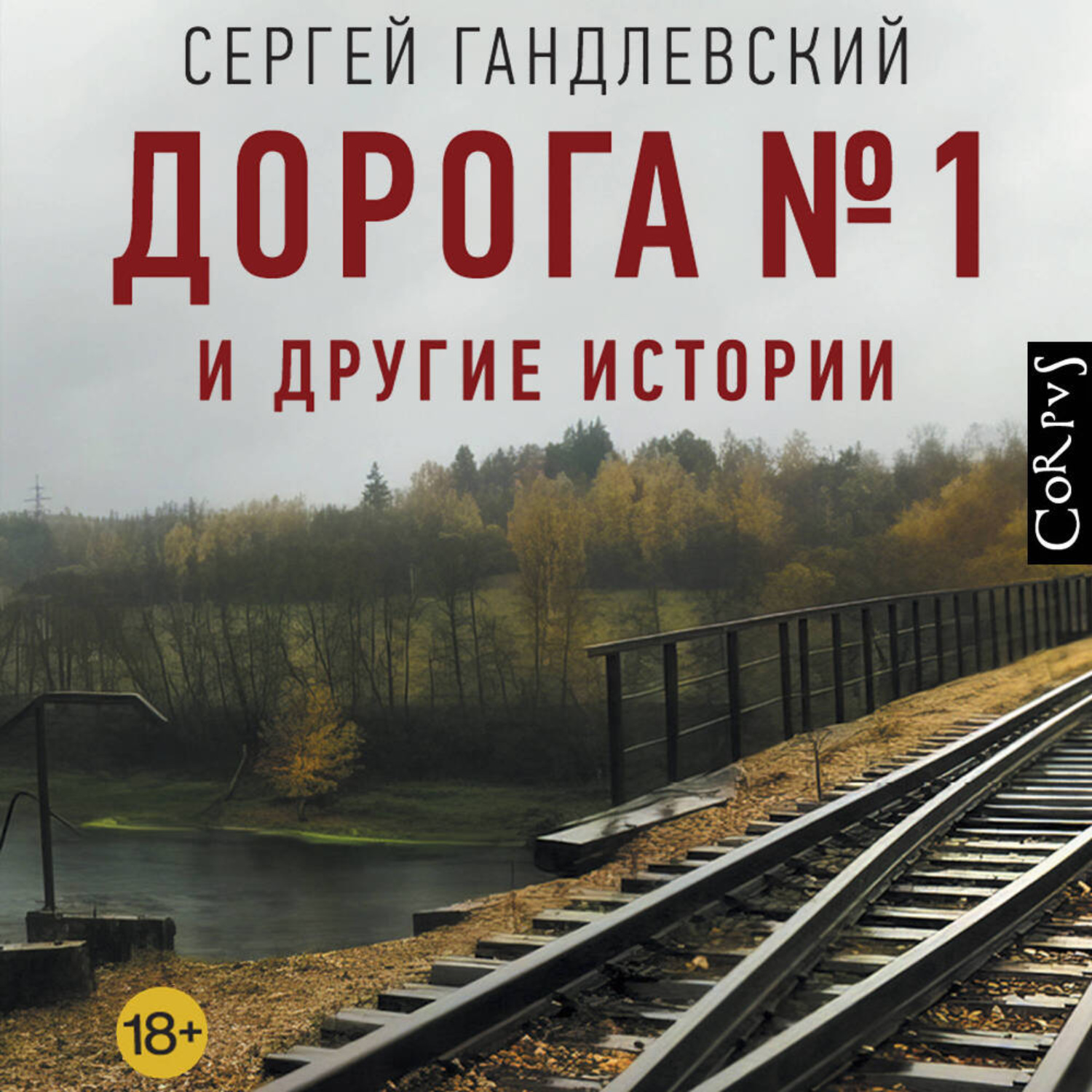 Обложка книги «Дорога №1 и другие истории»
