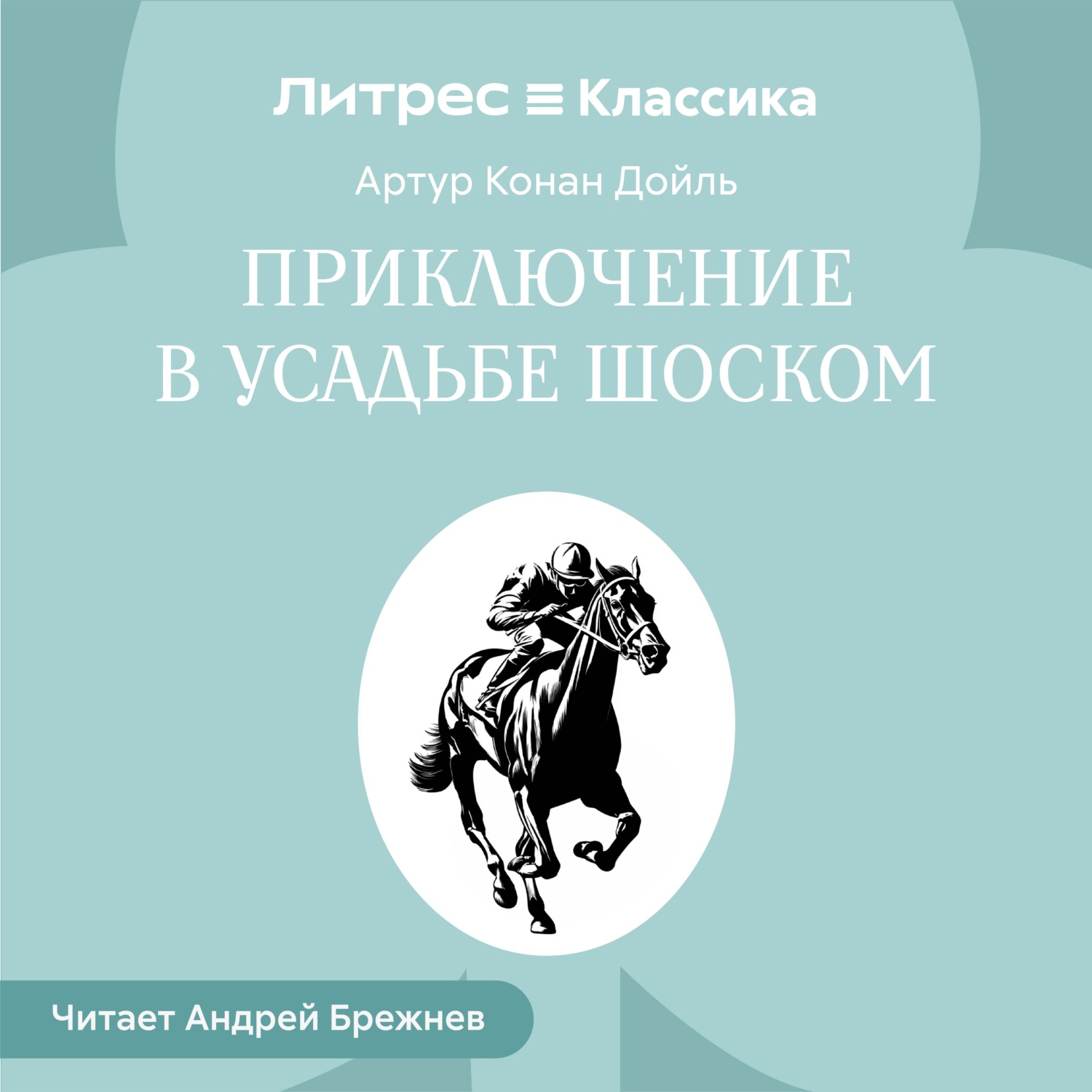Обложка книги «Приключение в усадьбе Шоском»
