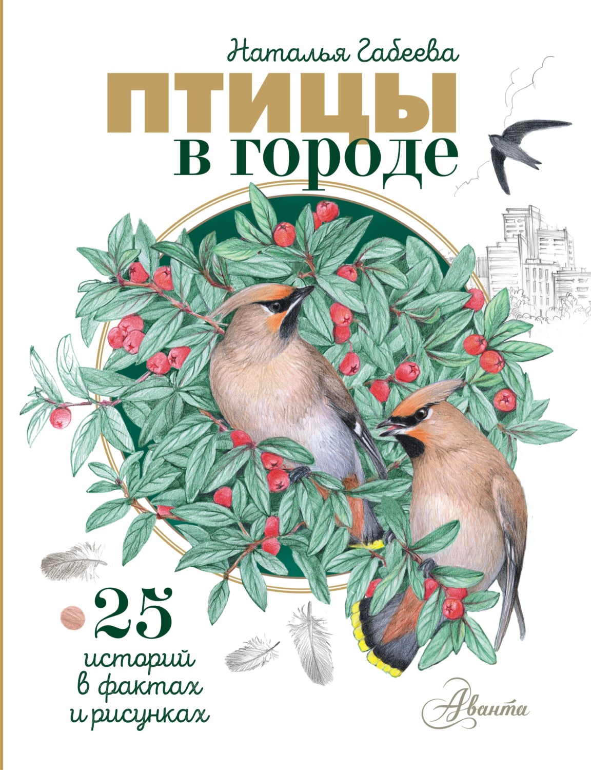Обложка книги «Птицы в городе. 25 историй в фактах и рисунках»