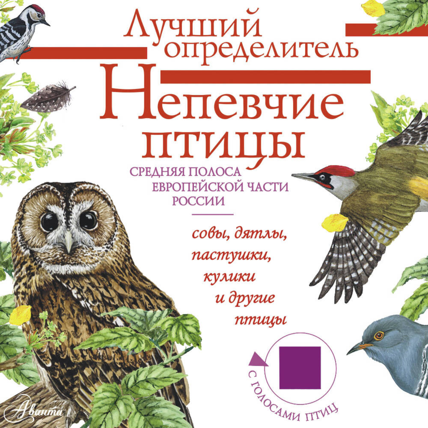 Обложка книги «Непевчие птицы. Средняя полоса европейской части России. Определитель с голосами птиц»