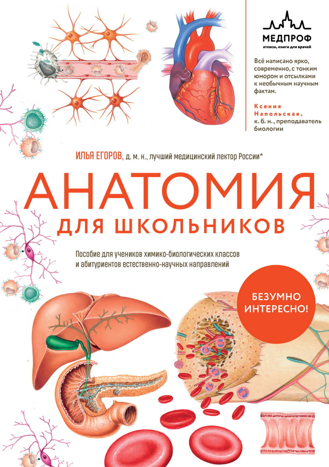 Обложка книги «Анатомия для школьников. Пособие для учеников химико-биологических классов и абитуриентов естественно-научных направлений»