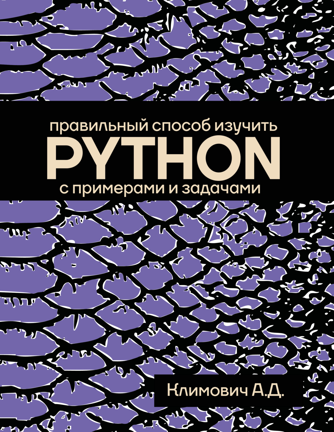 Обложка книги «Правильный способ изучить PYTHON с примерами и задачами»