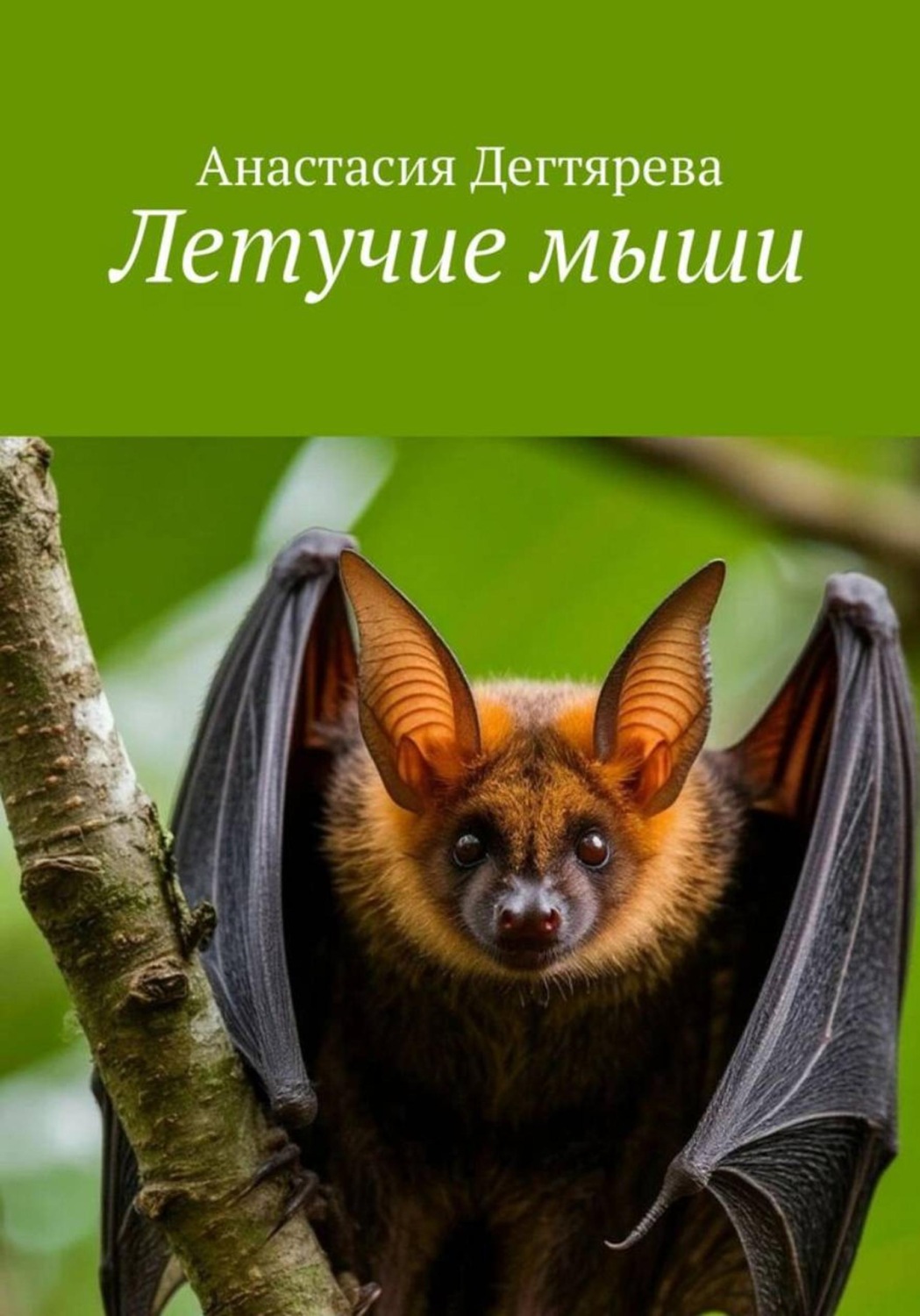 Обложка книги «Летучие мыши»