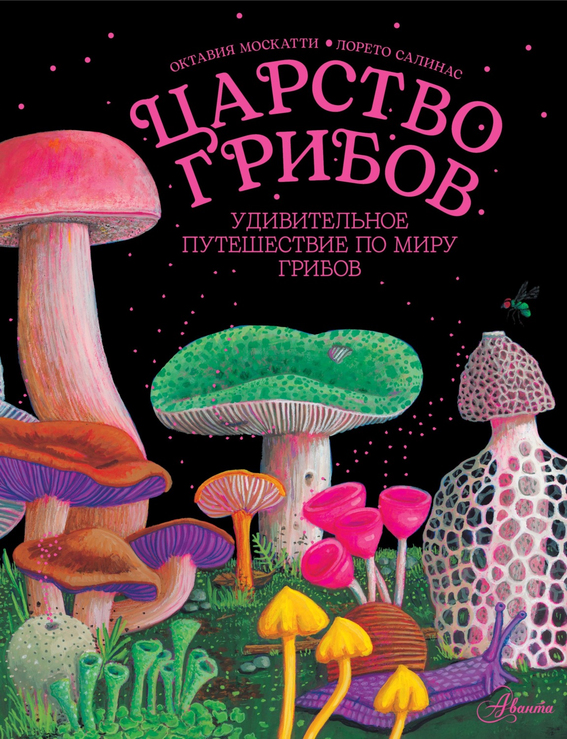 Обложка книги «Царство грибов»