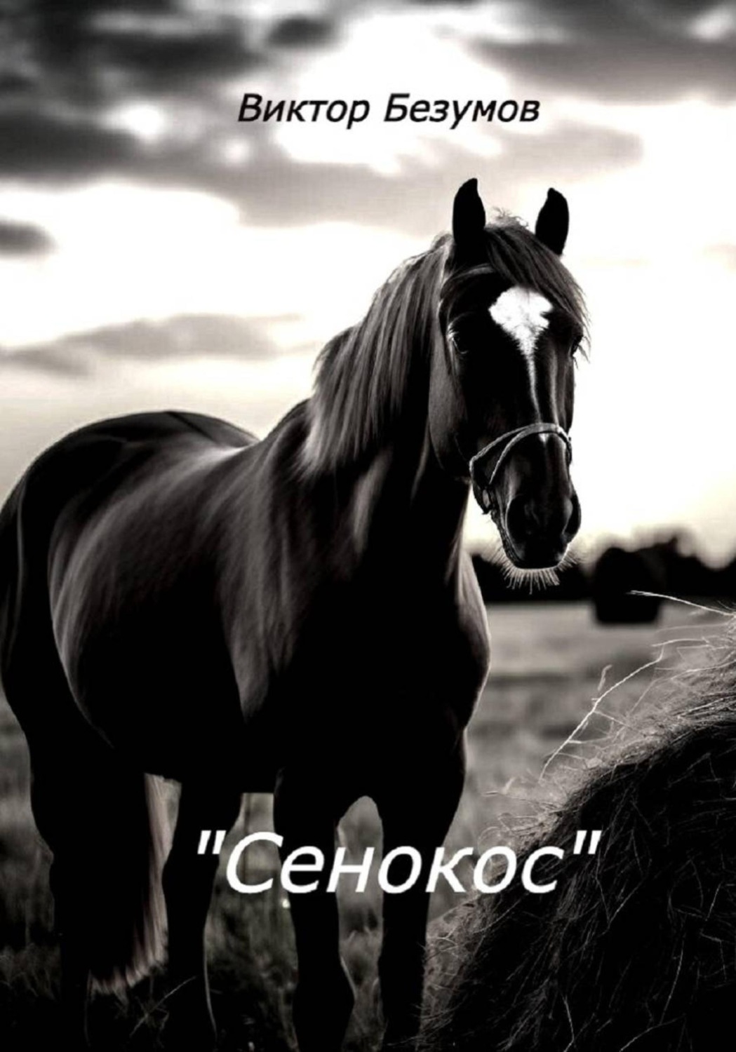 Обложка книги «Сенокос»