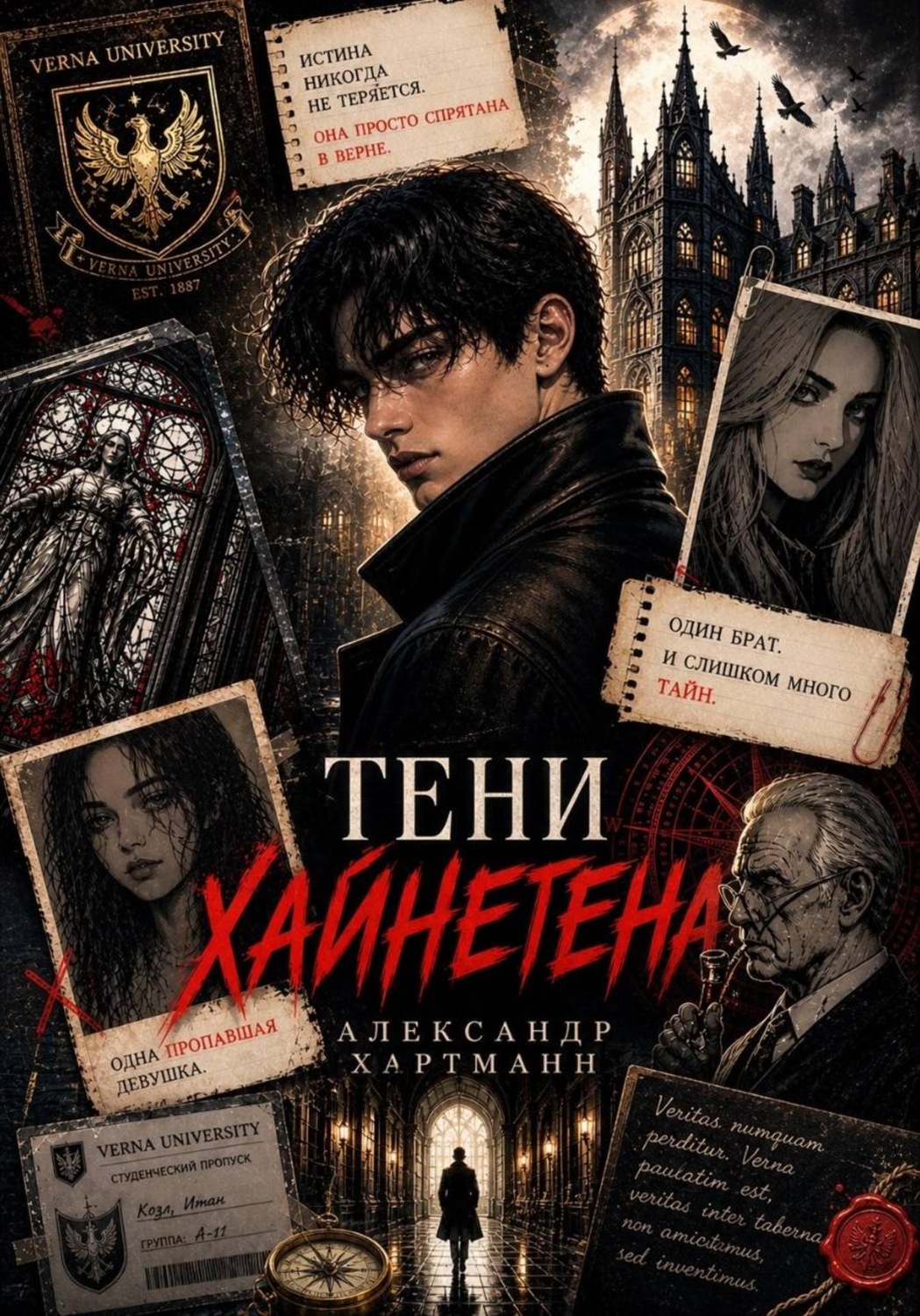 Обложка книги «Тени Хайнегена»