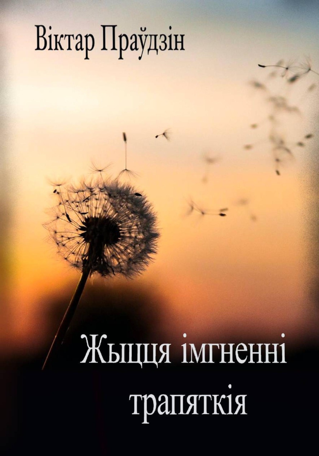 Обложка книги «Жыцця імгненні трапяткія»