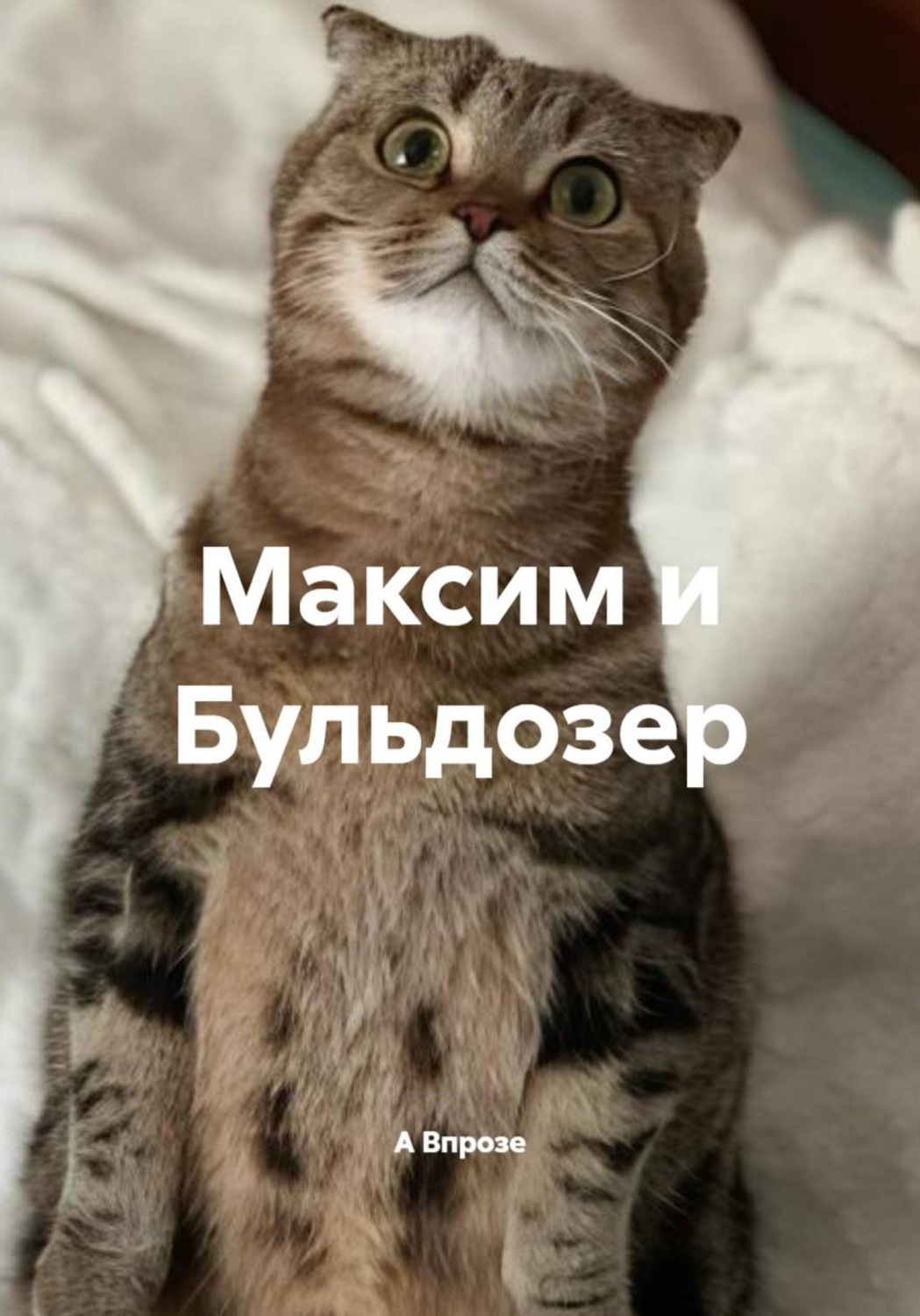 Обложка книги «Максим и Бульдозер»