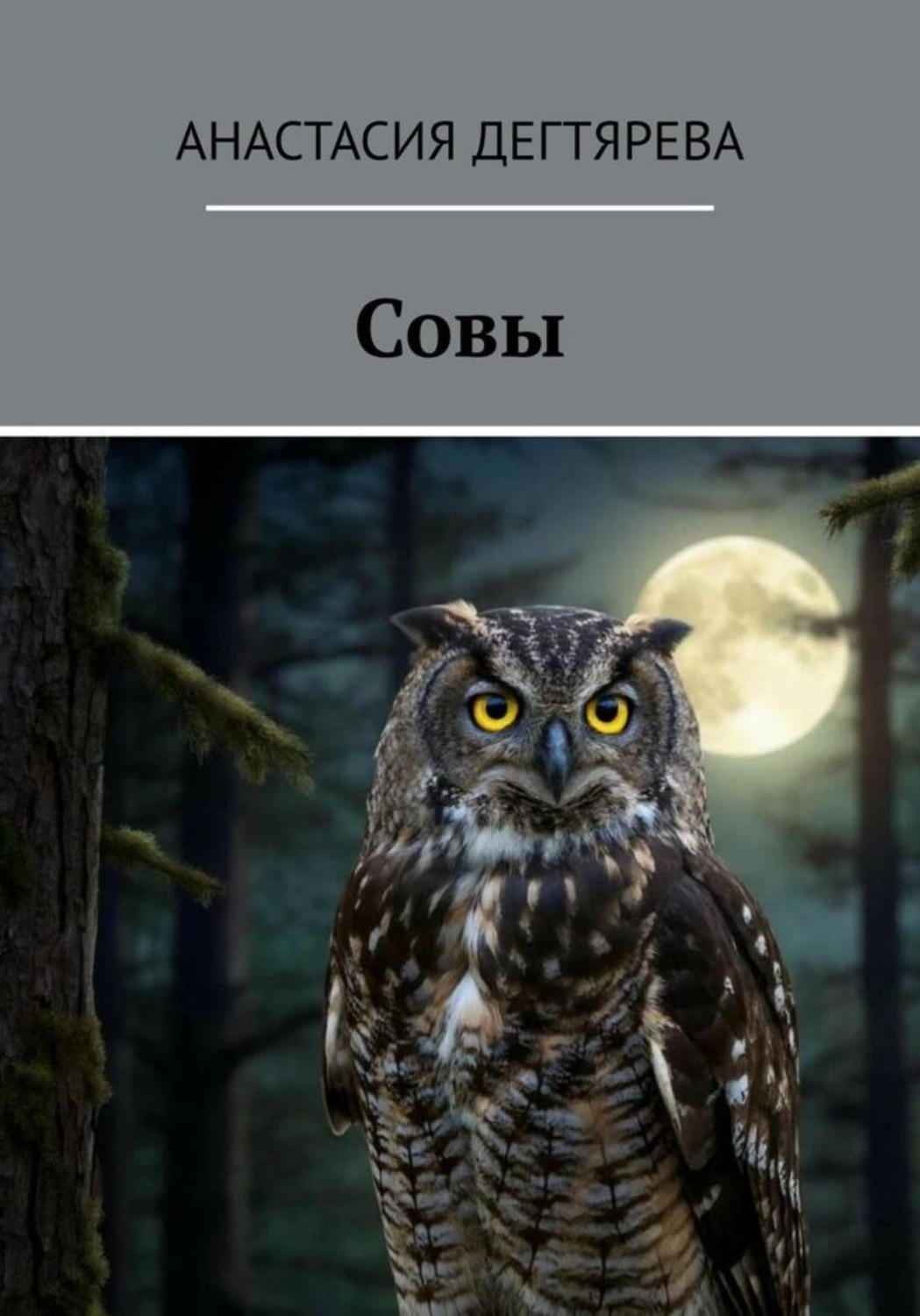 Обложка книги «Совы»