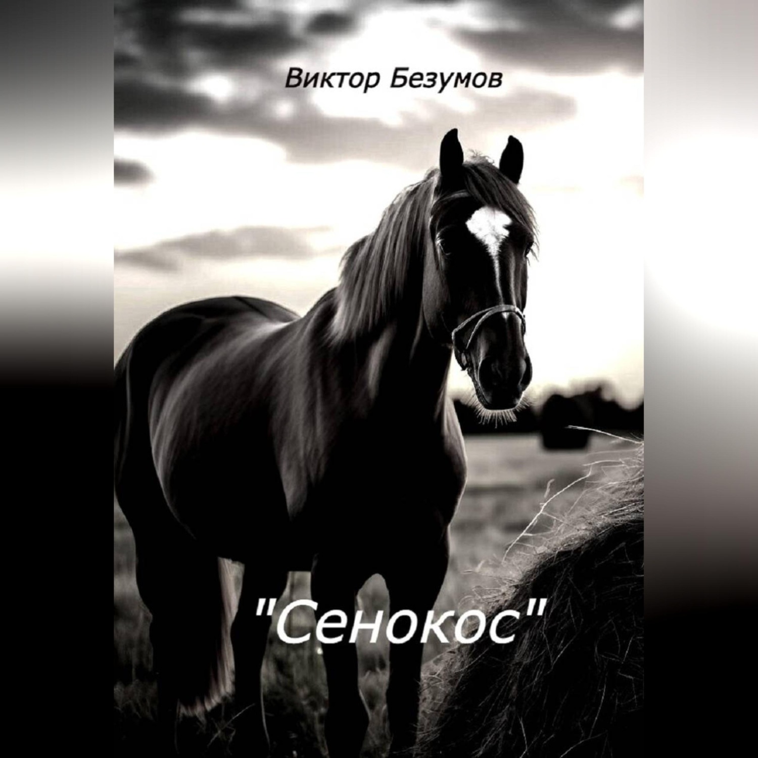 Обложка книги «Сенокос»