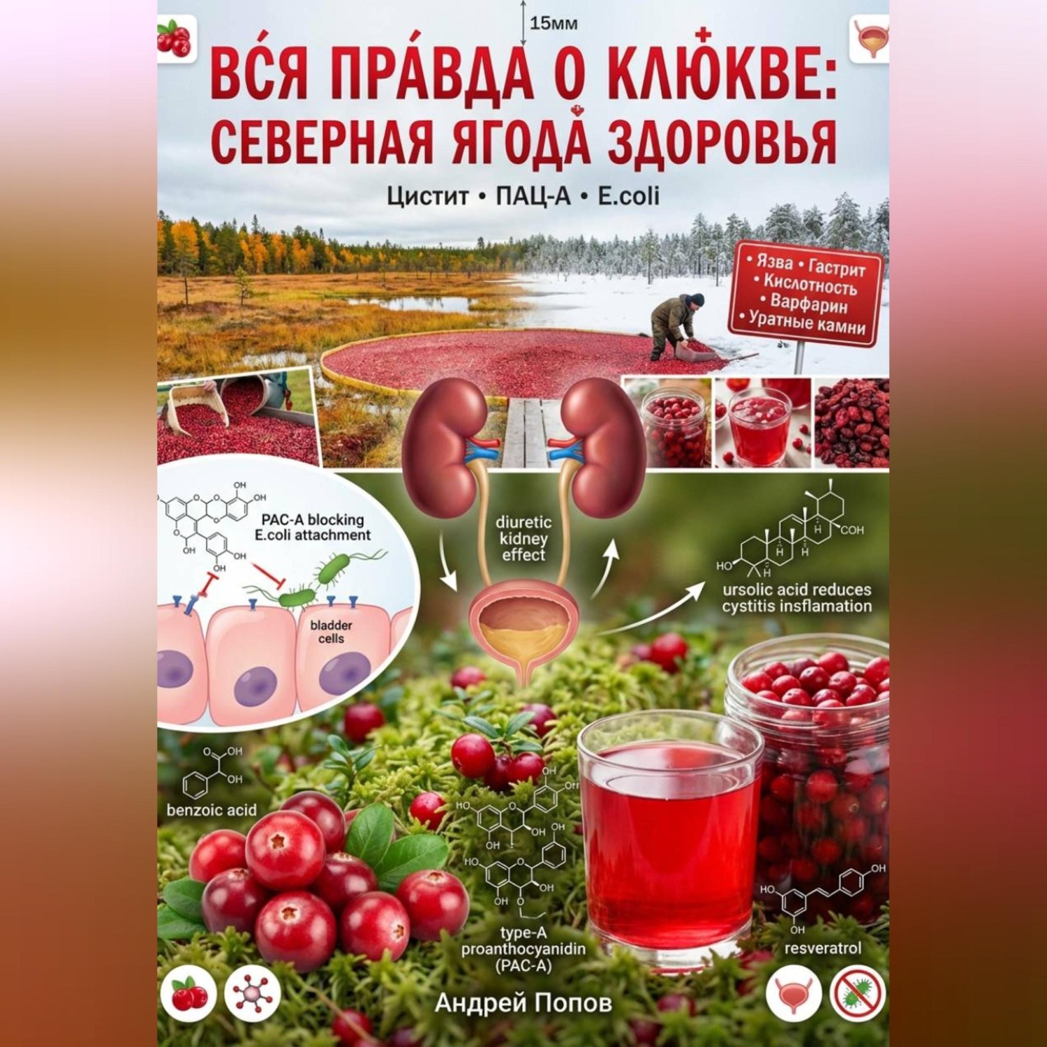 Обложка книги «Вся правда о клюкве: северная ягода здоровья»