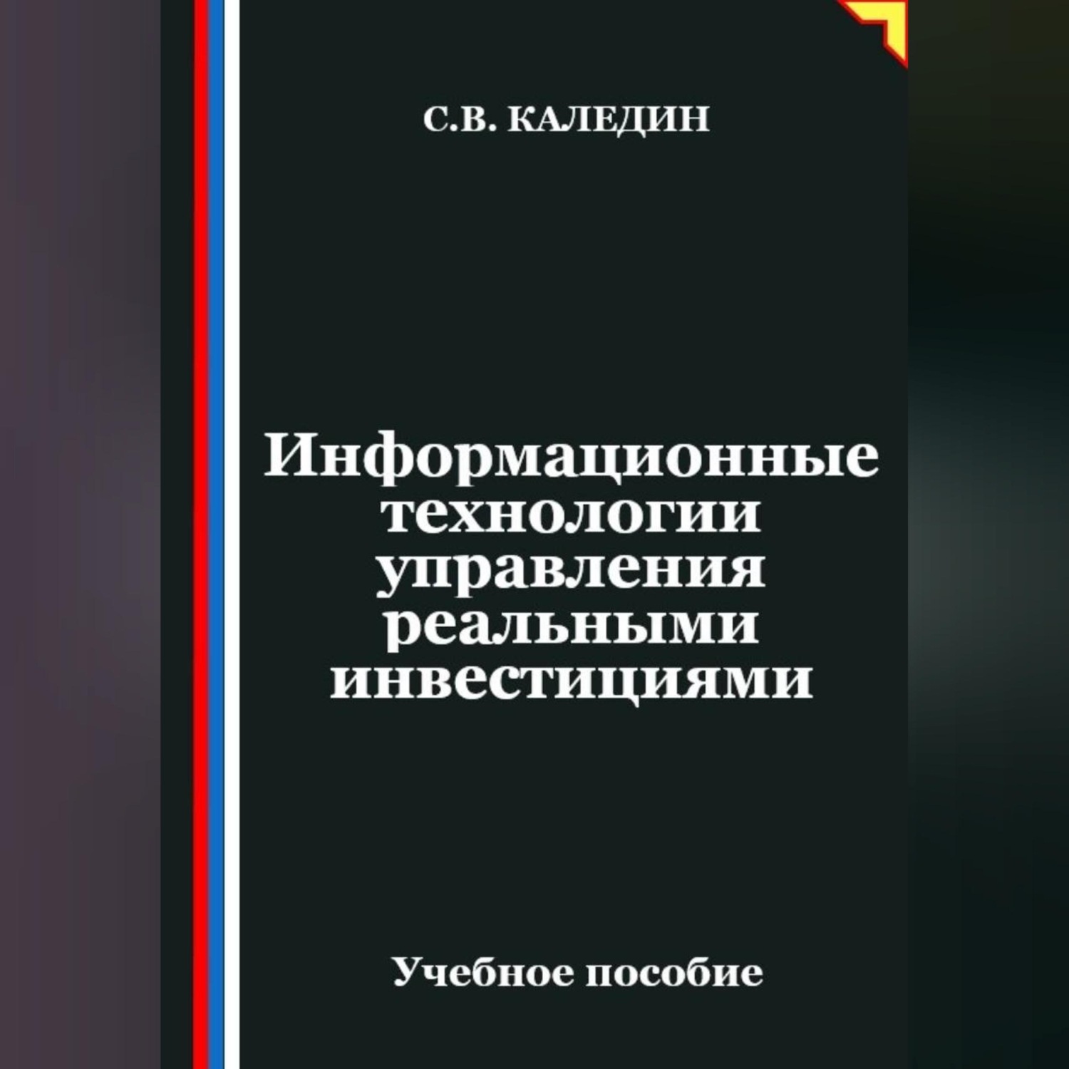 Обложка книги «Информационные технологии управления реальными инвестициями»