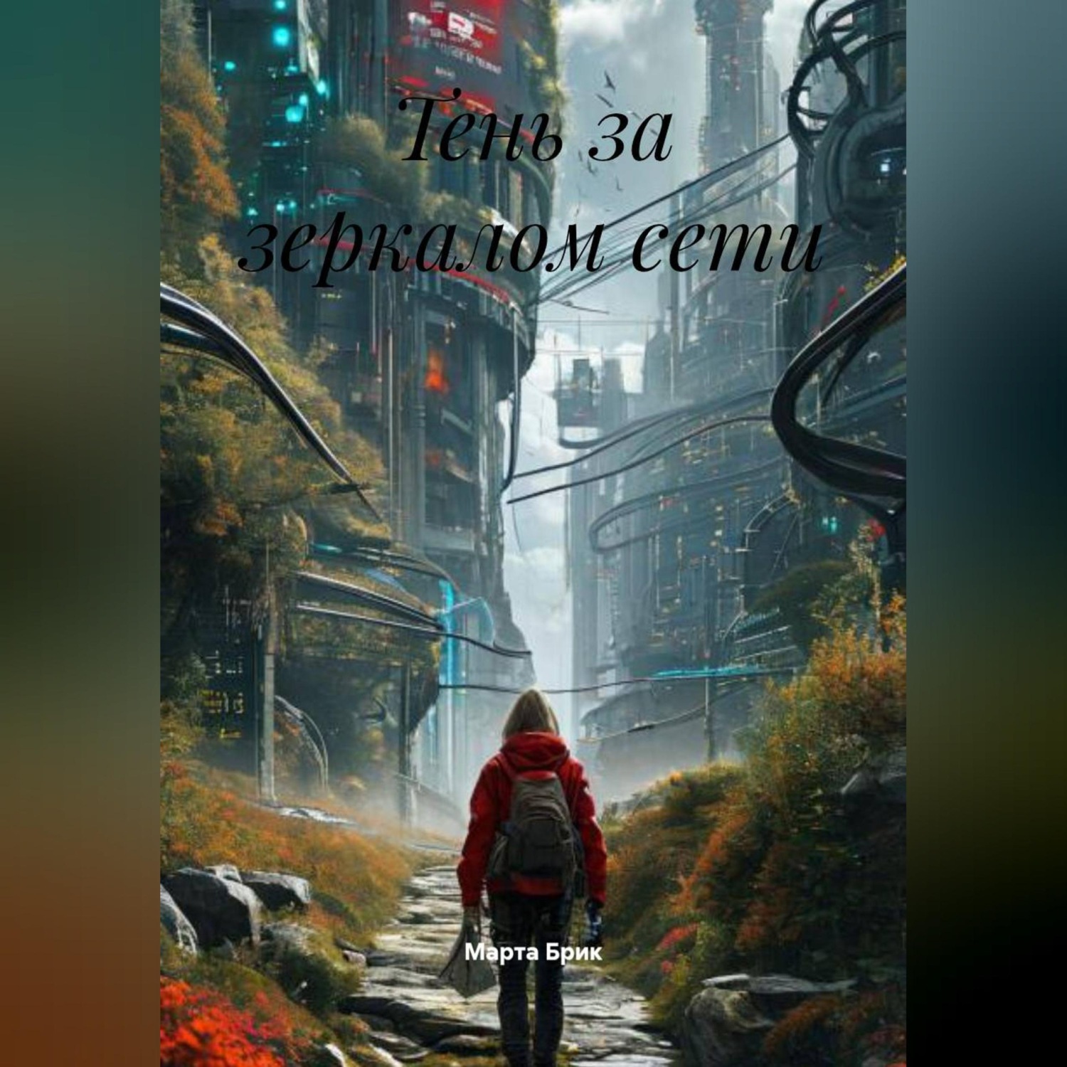 Обложка книги «Тень за зеркалом сети»
