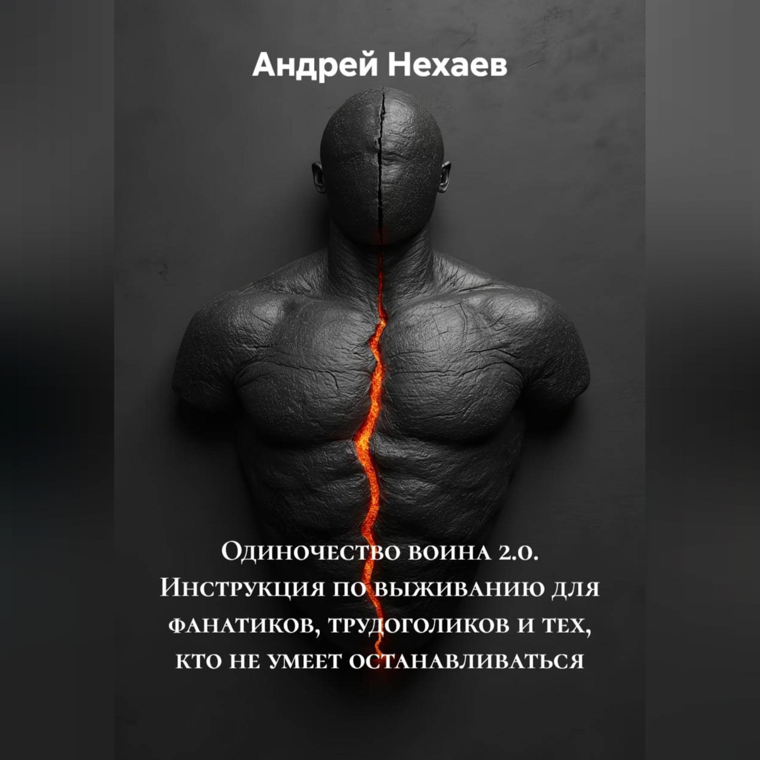 Обложка книги «Одиночество воина 2.0. Инструкция по выживанию для фанатиков, трудоголиков и тех, кто не умеет останавливаться»