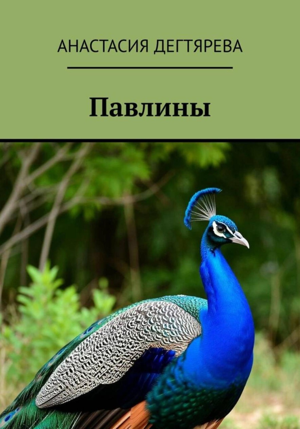 Обложка книги «Павлины»