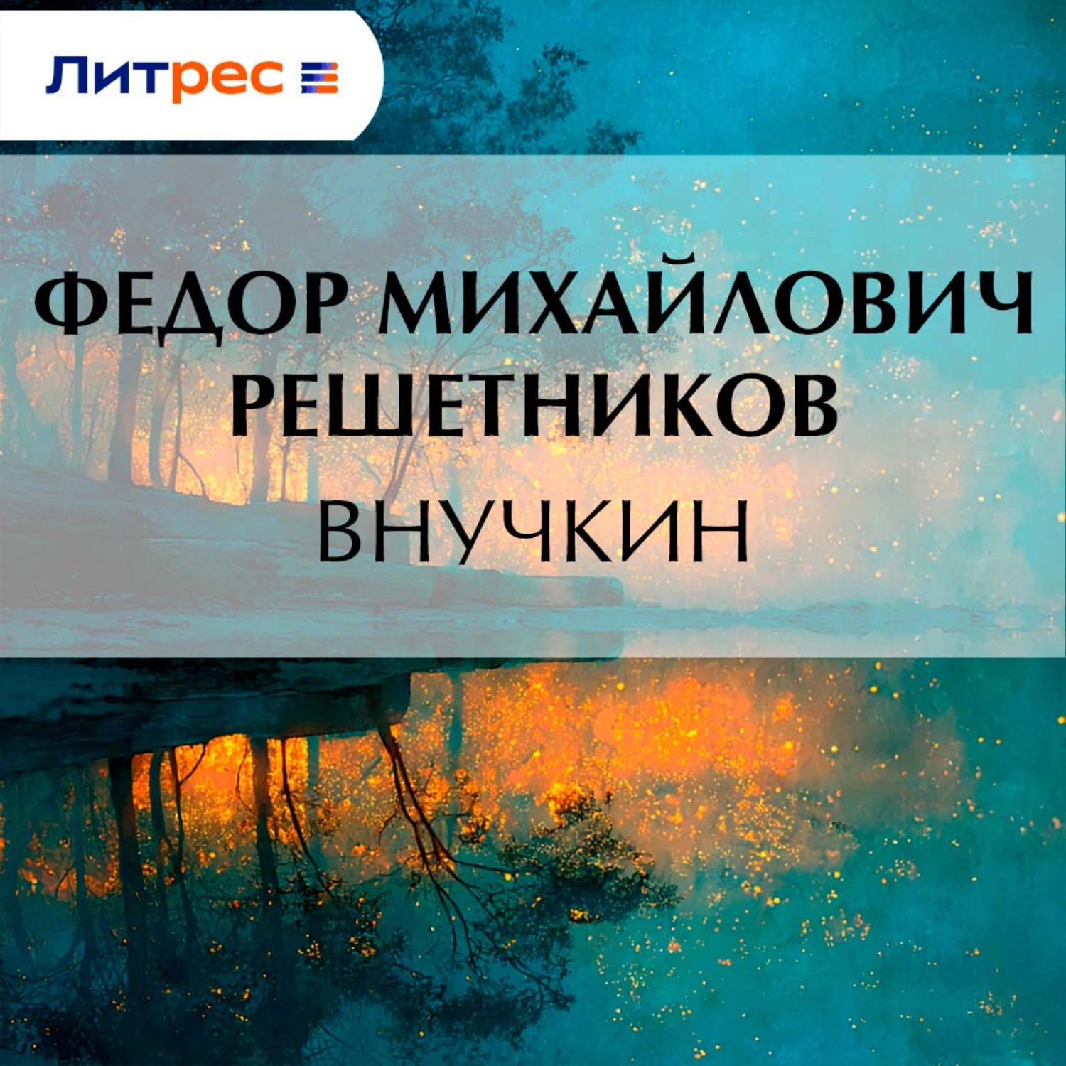 Обложка книги «Внучкин»