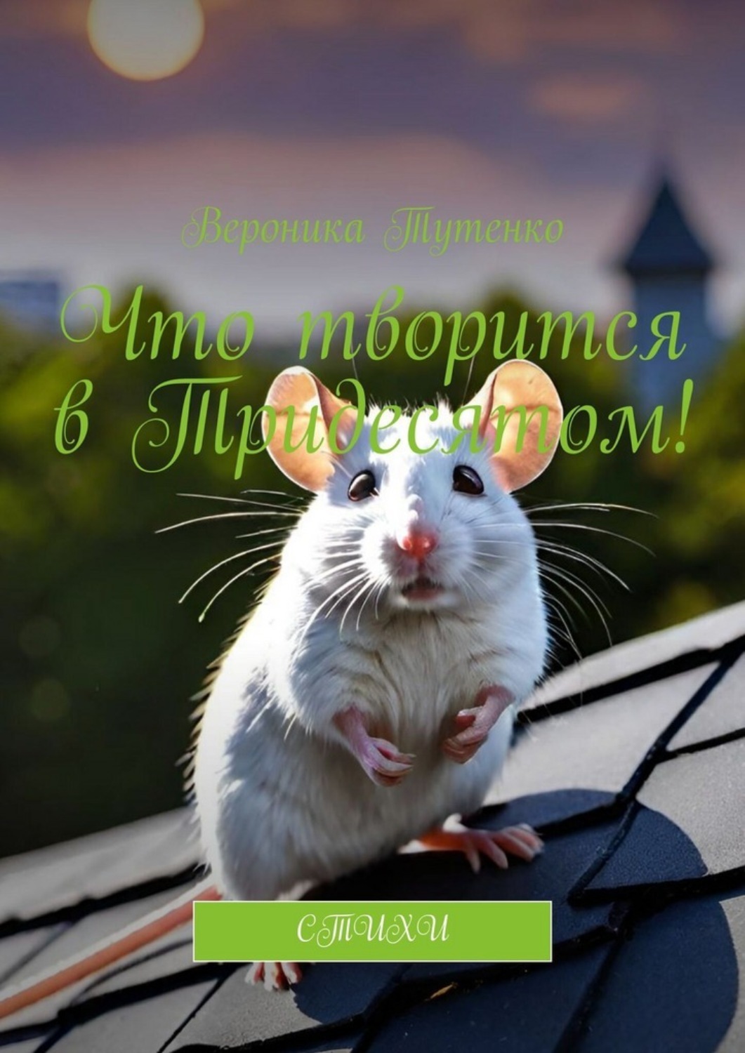 Обложка книги «Что творится в Тридесятом! Стихи»